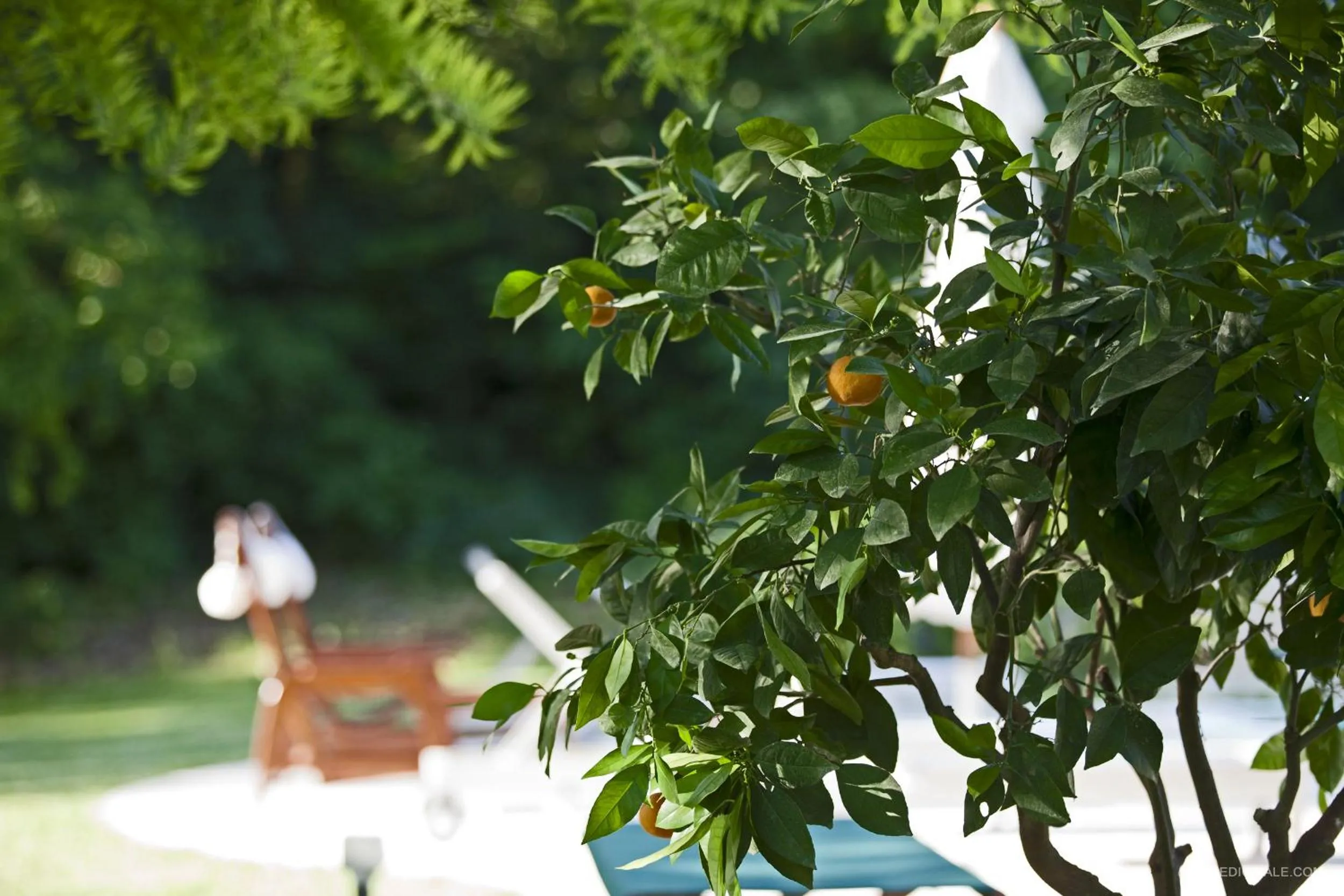 Natural landscape in Pragatto Hills by Casino di Pragatto