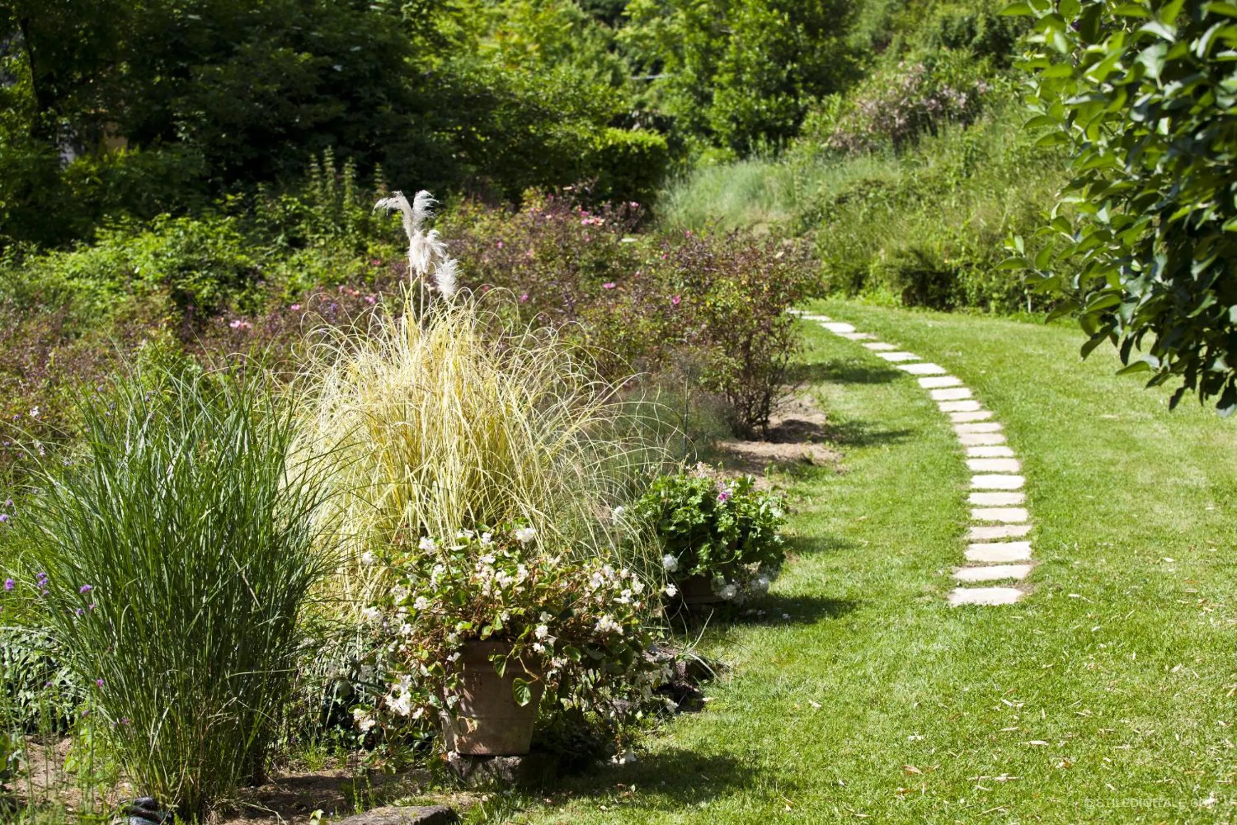 Garden view in Pragatto Hills by Casino di Pragatto