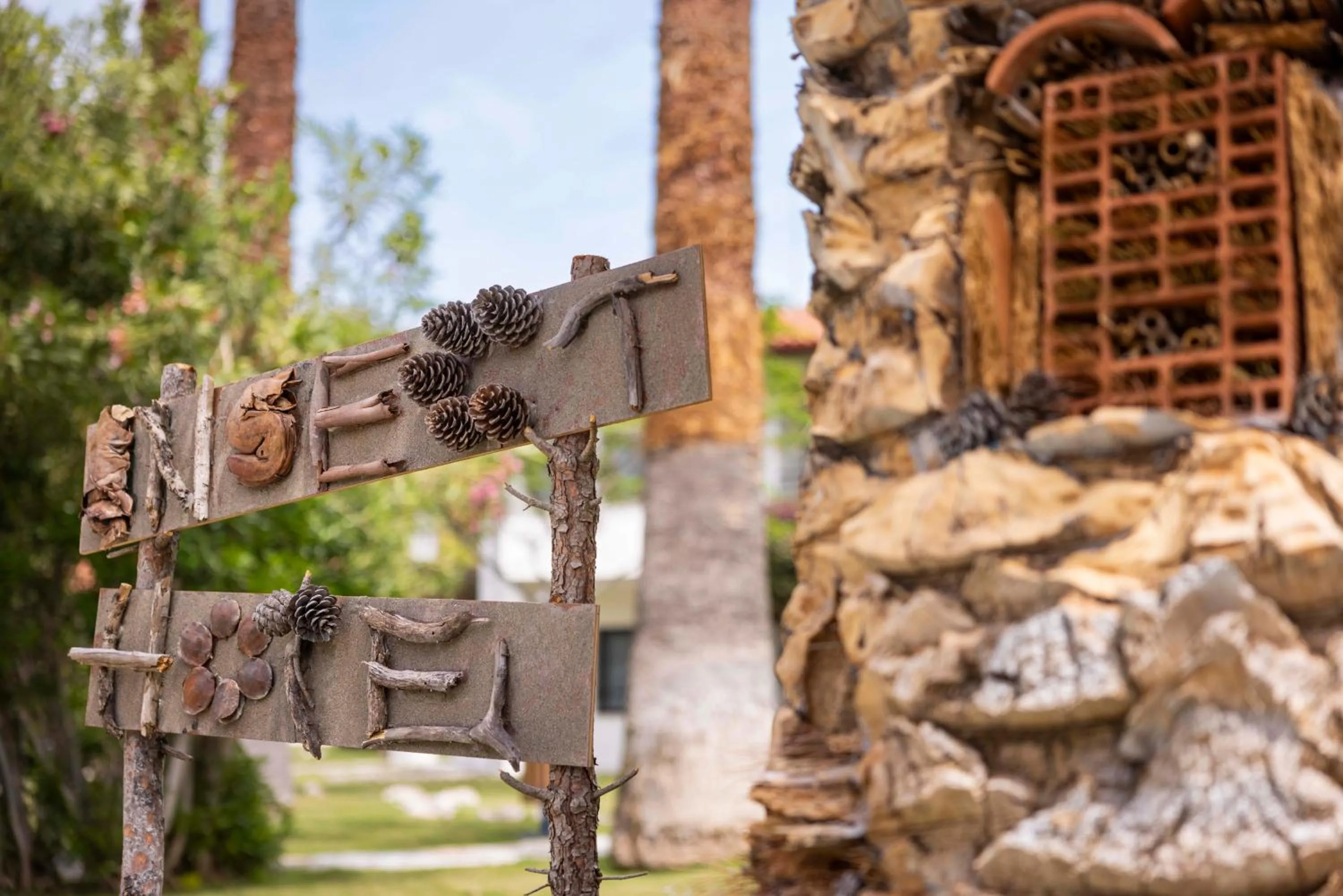 Day in TUI BLUE Sarigerme Park