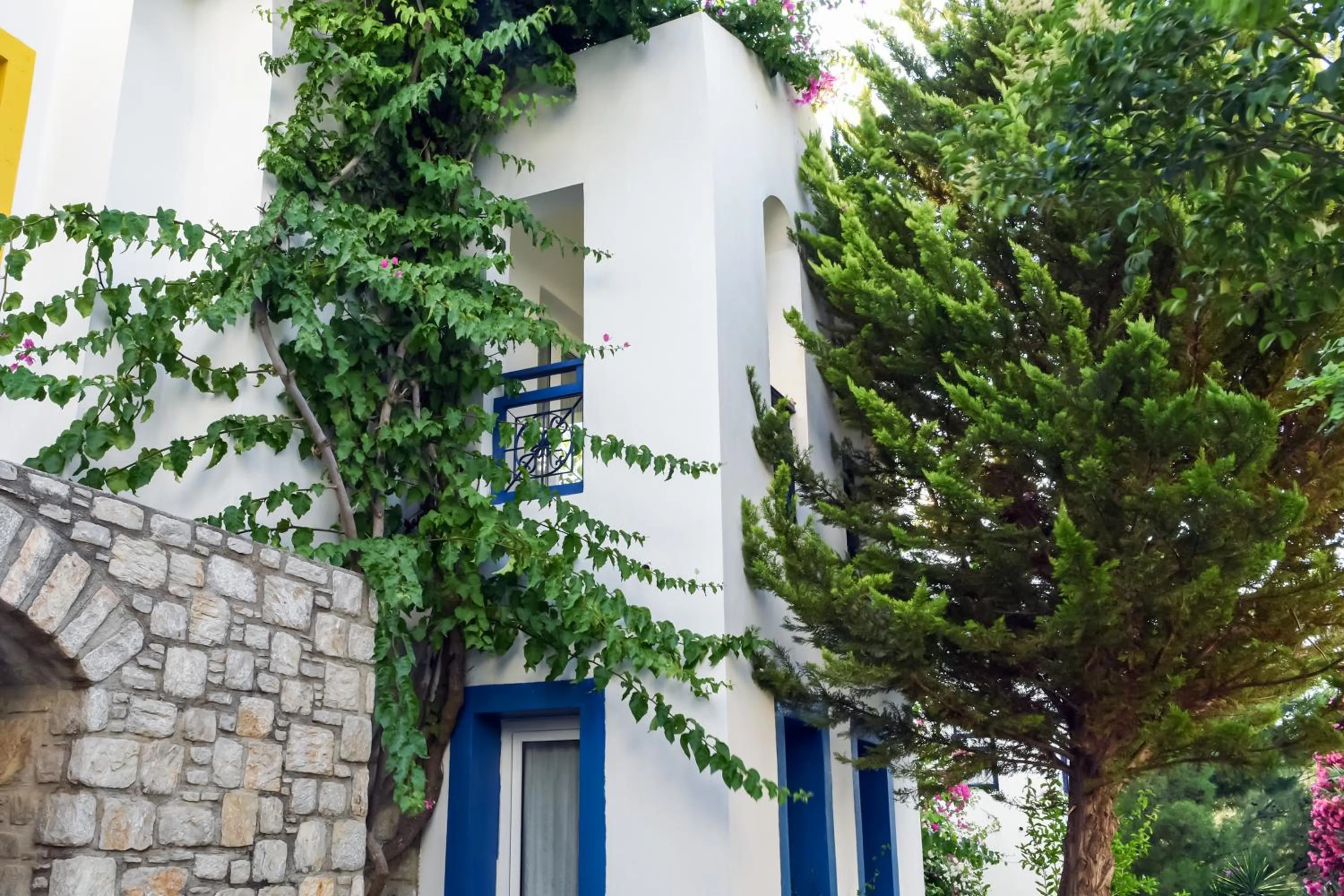 Garden in Marphe Hotel