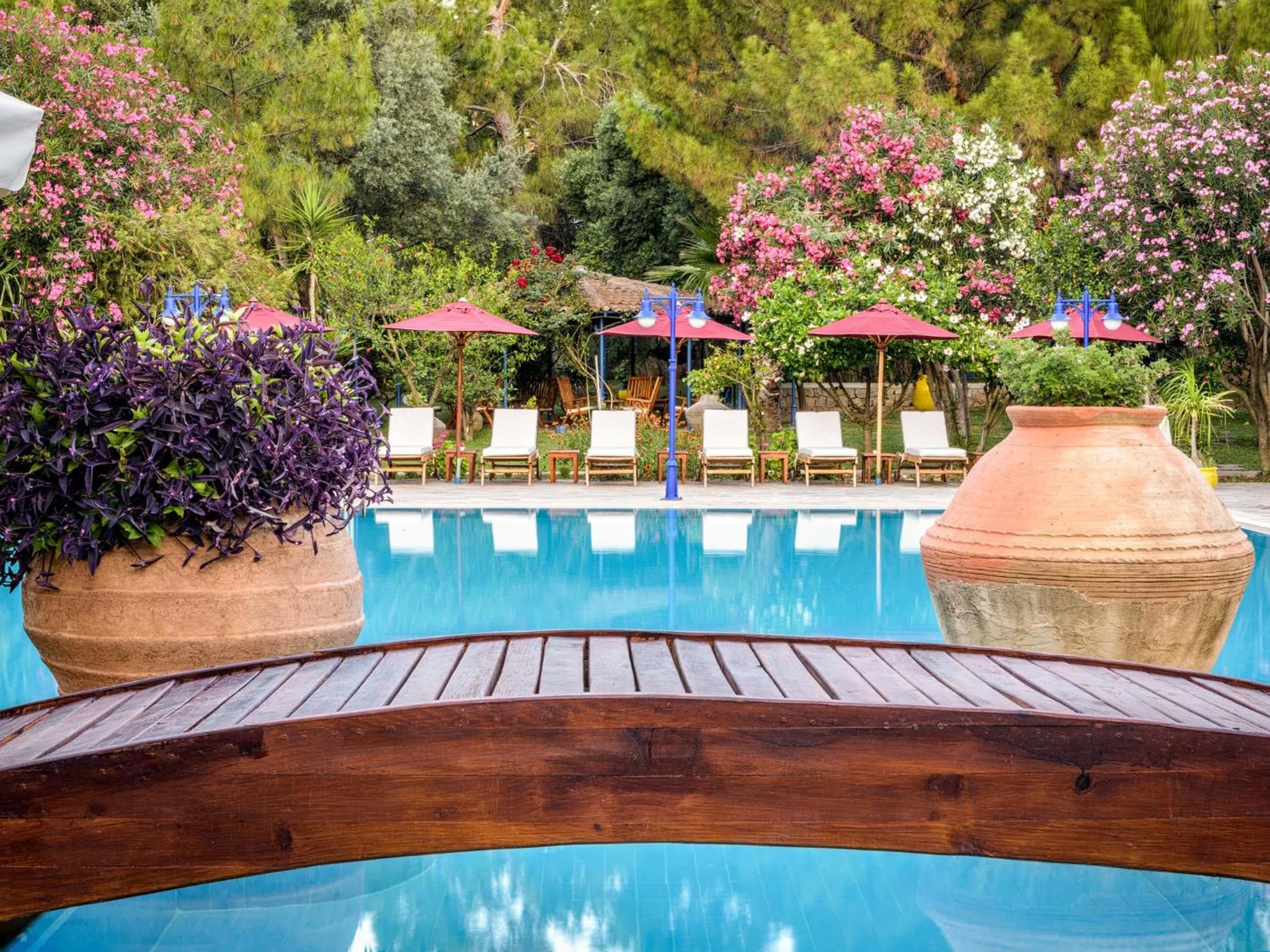 Garden in Marphe Hotel