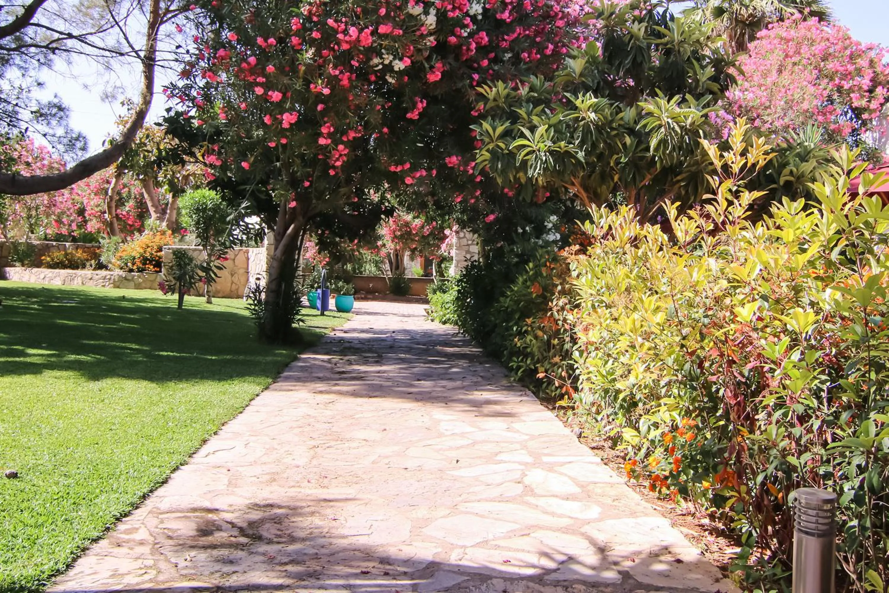 Garden in Marphe Hotel
