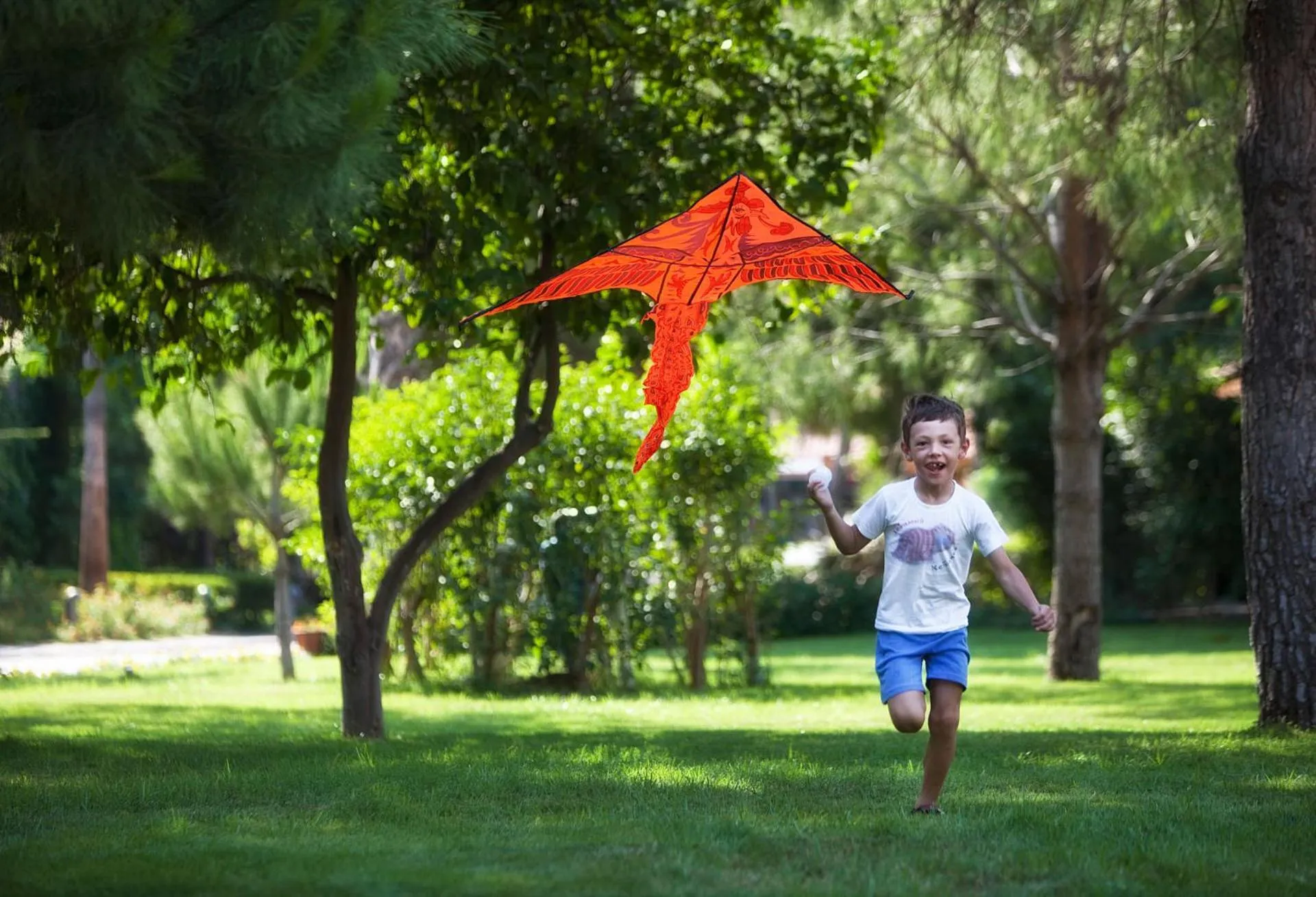 Day in Akka Alinda Hotel - Premium All Inclusive