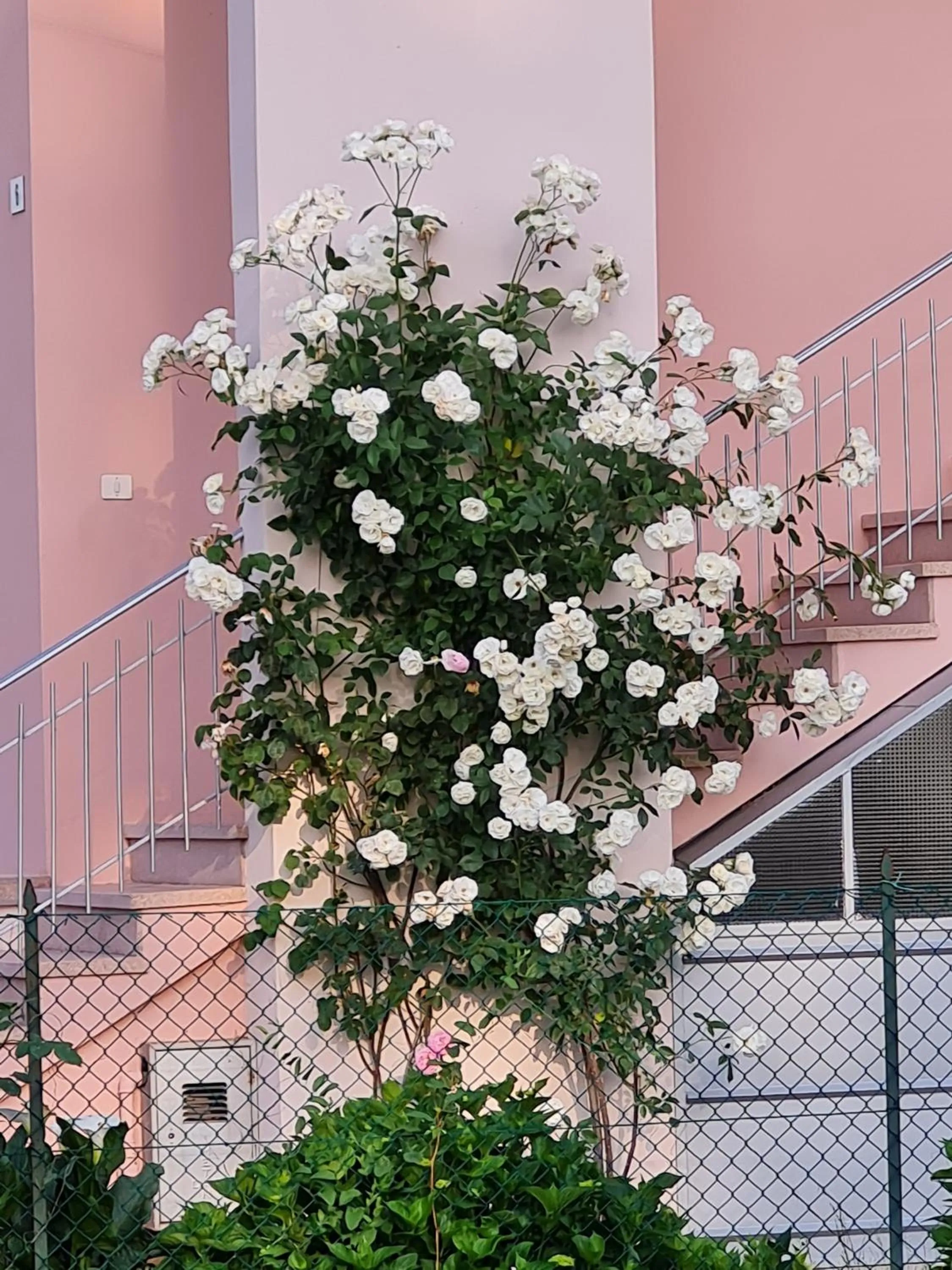 A casa di Albino e Giovannina