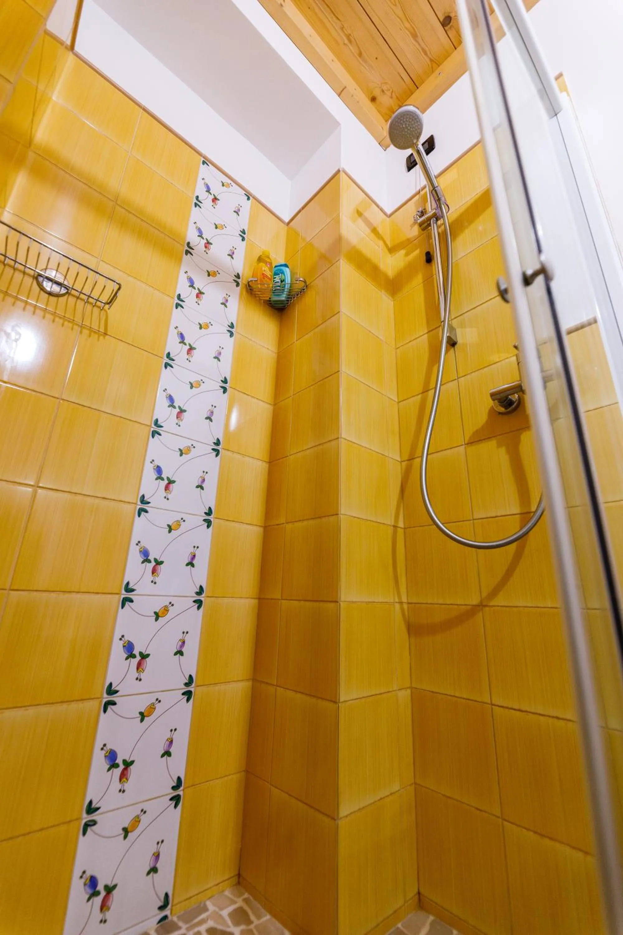 Shower in B&B Casa Probo