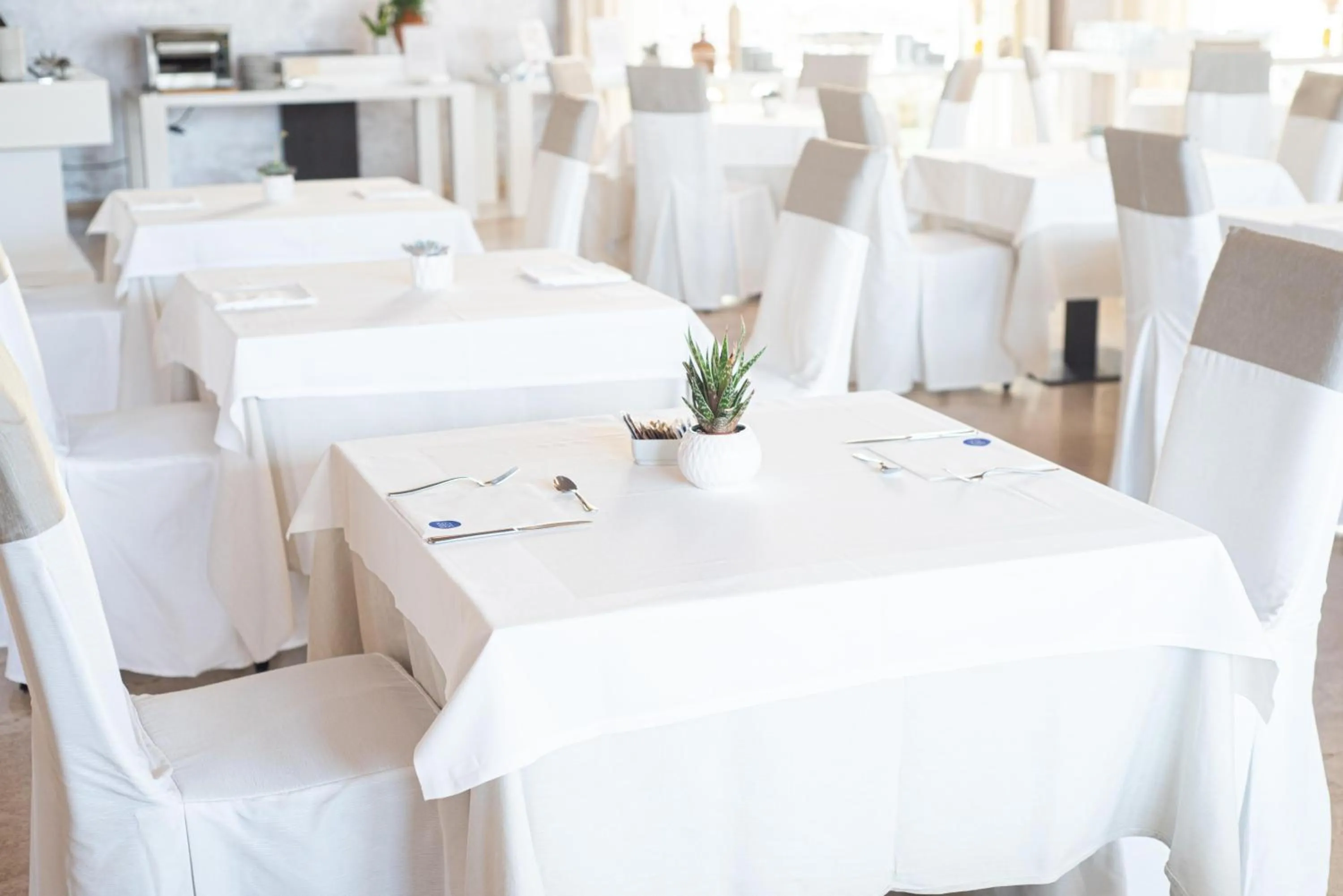 Restaurant/places to eat in Basiliani - CDSHotels