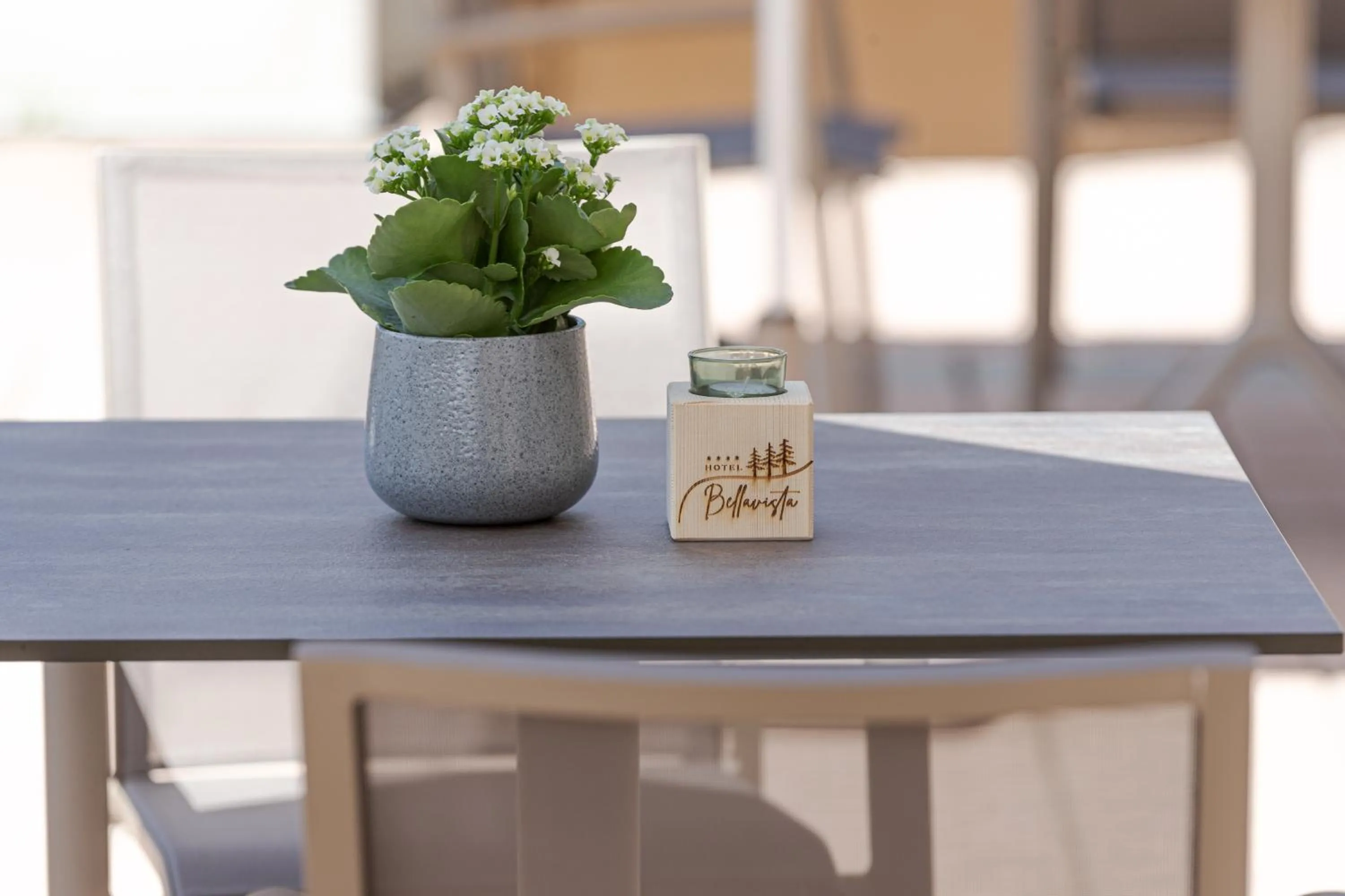 Garden in Hotel Bellavista