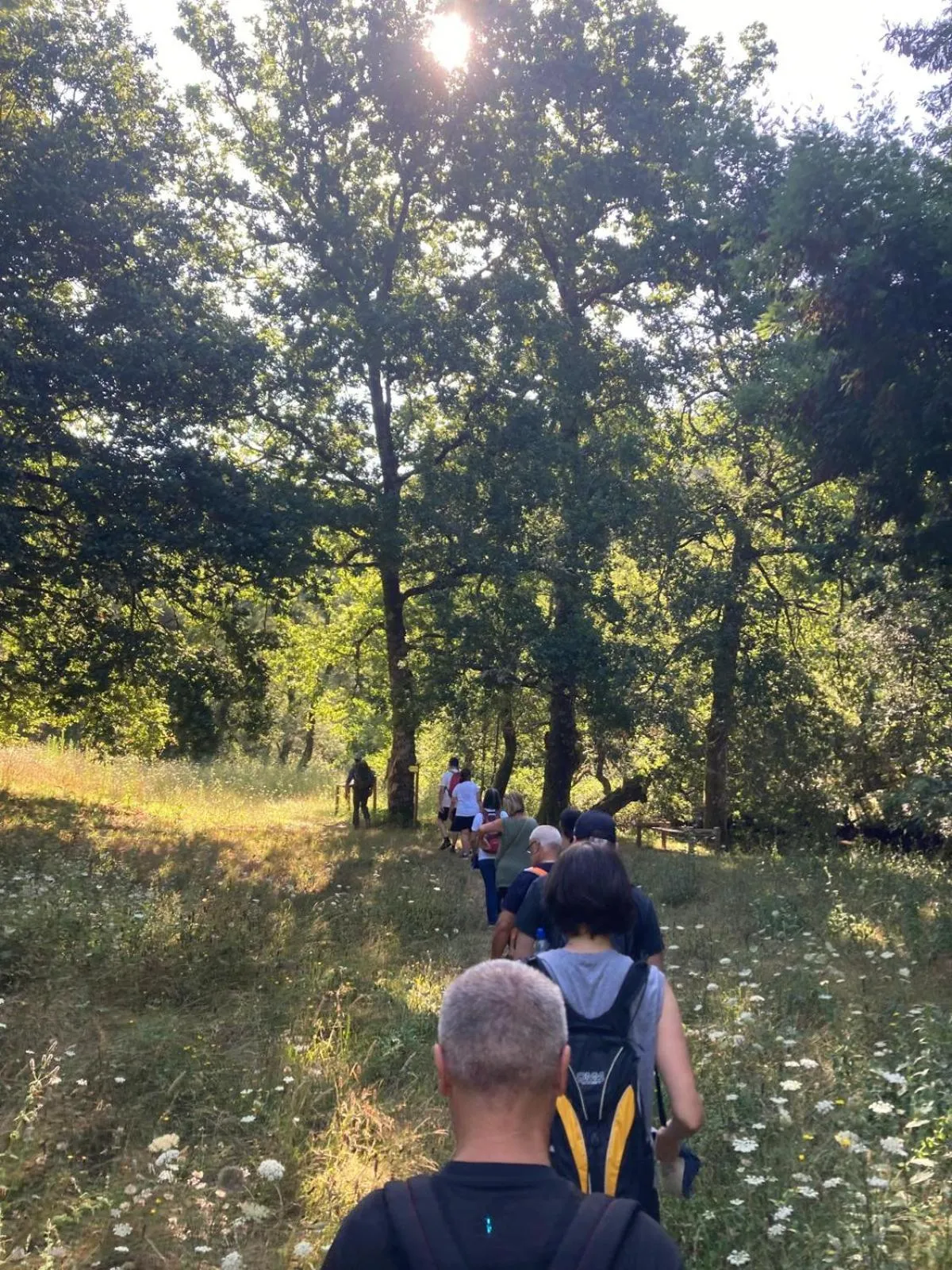Casa da Ribeira do Círio
