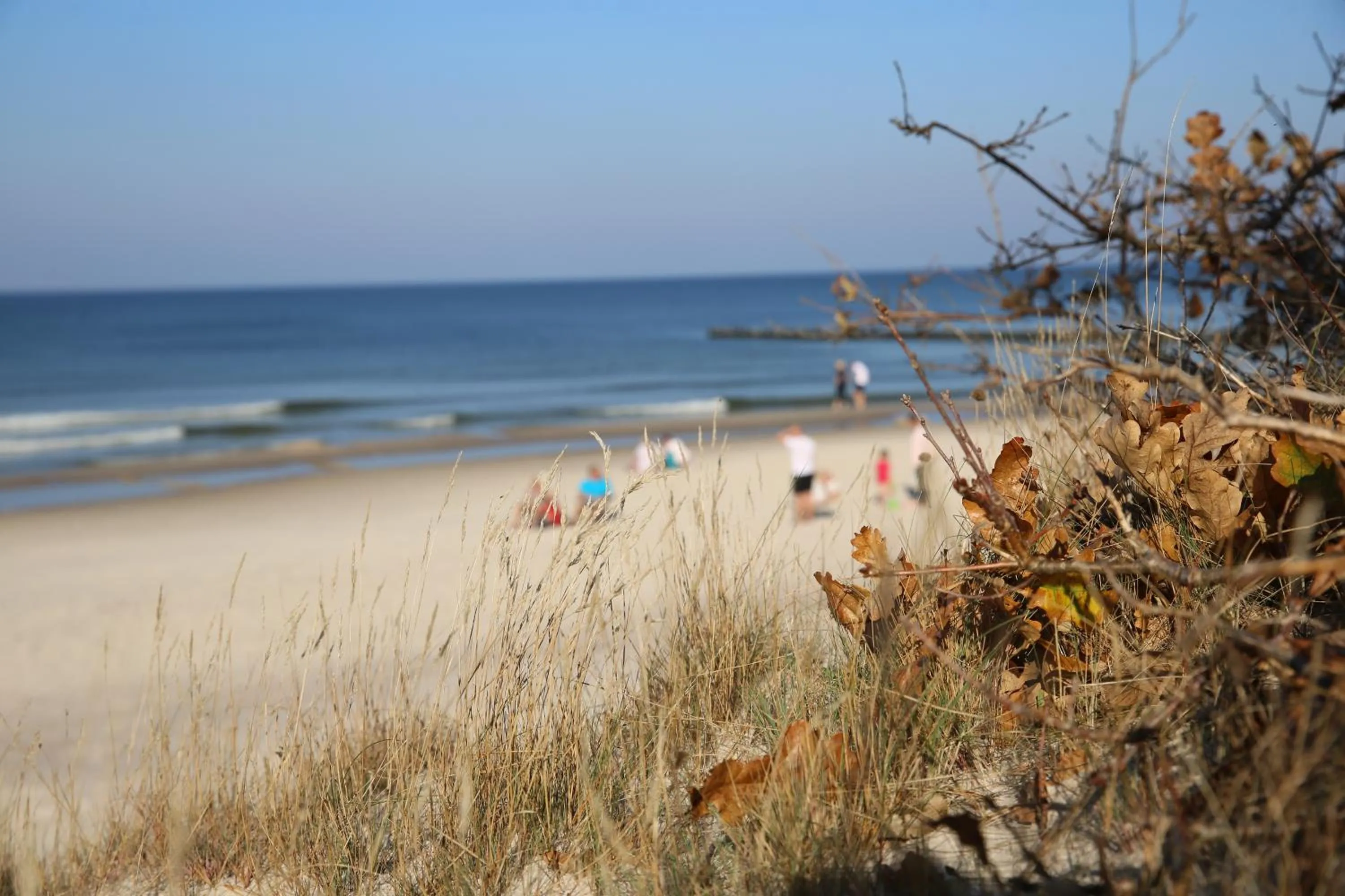 Activities in HAVET Hotel Resort & Spa