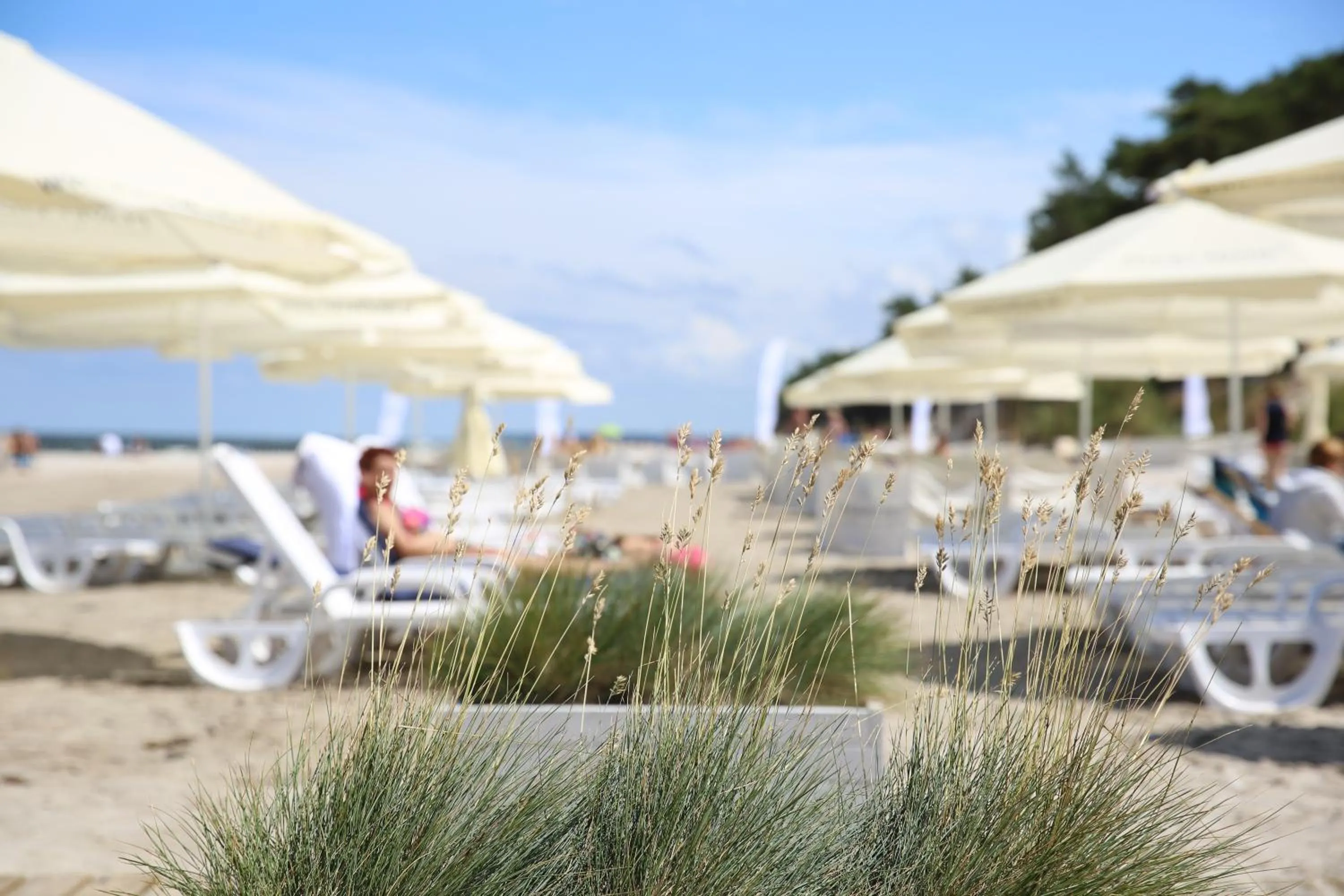 Beach in HAVET Hotel Resort & Spa