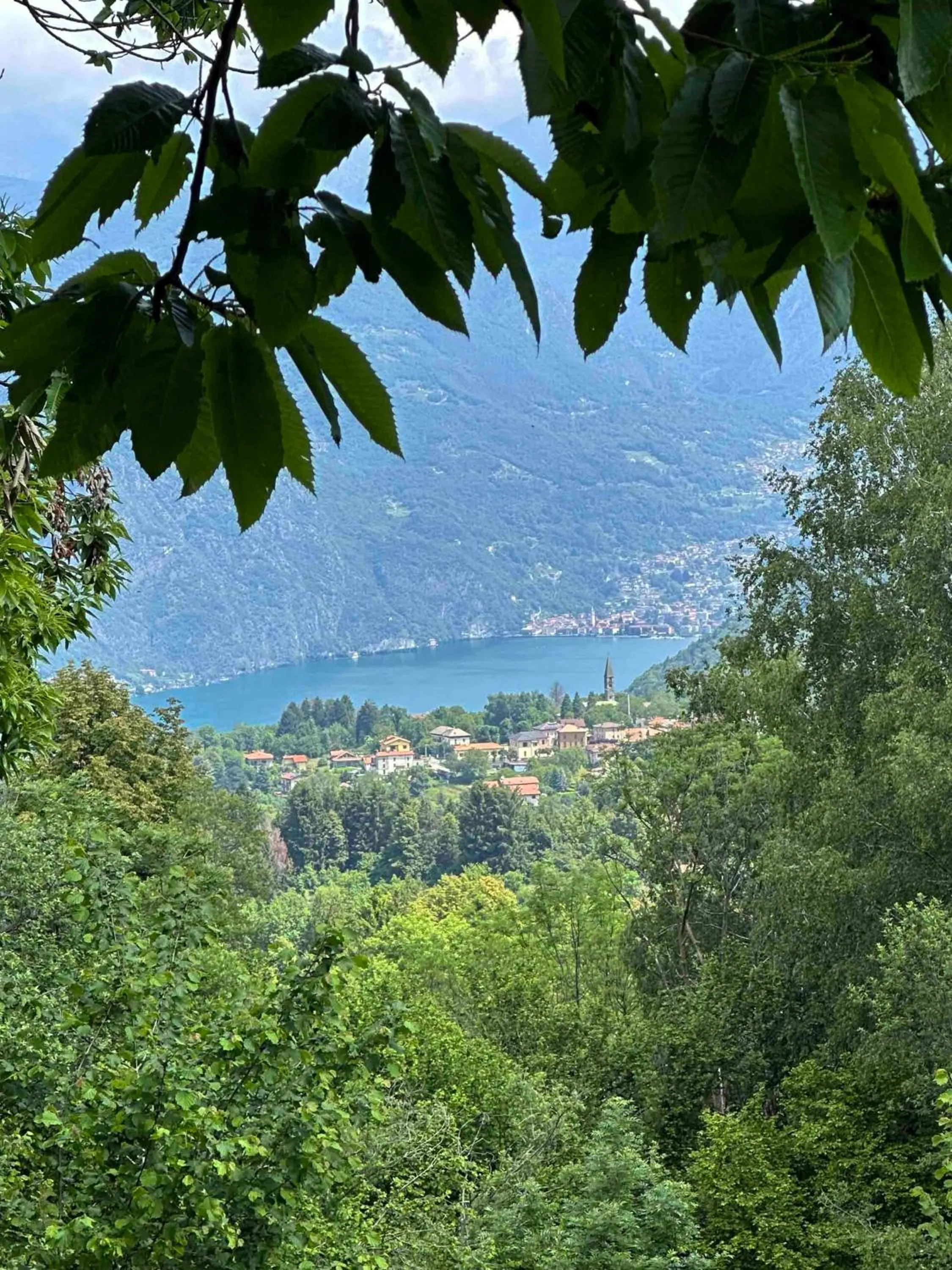 Nearby landmark in Hotel Villa Simplicitas