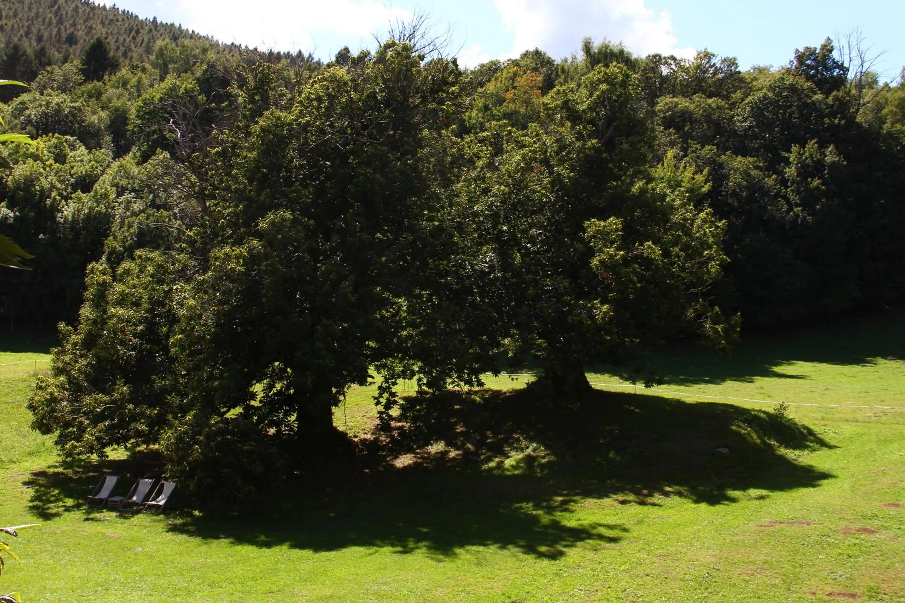 Hotel Villa Simplicitas