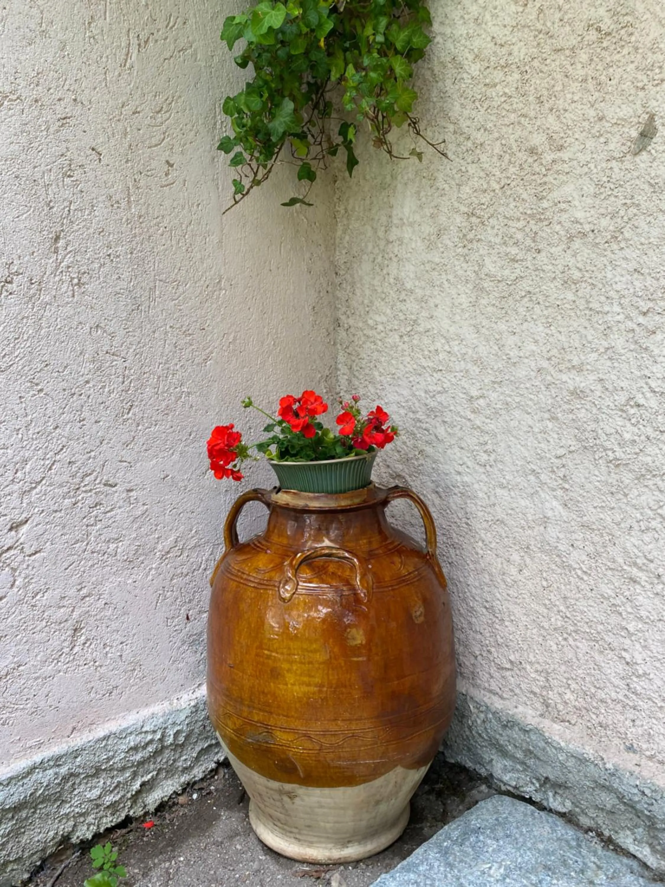 Garden in Hotel Villa Simplicitas