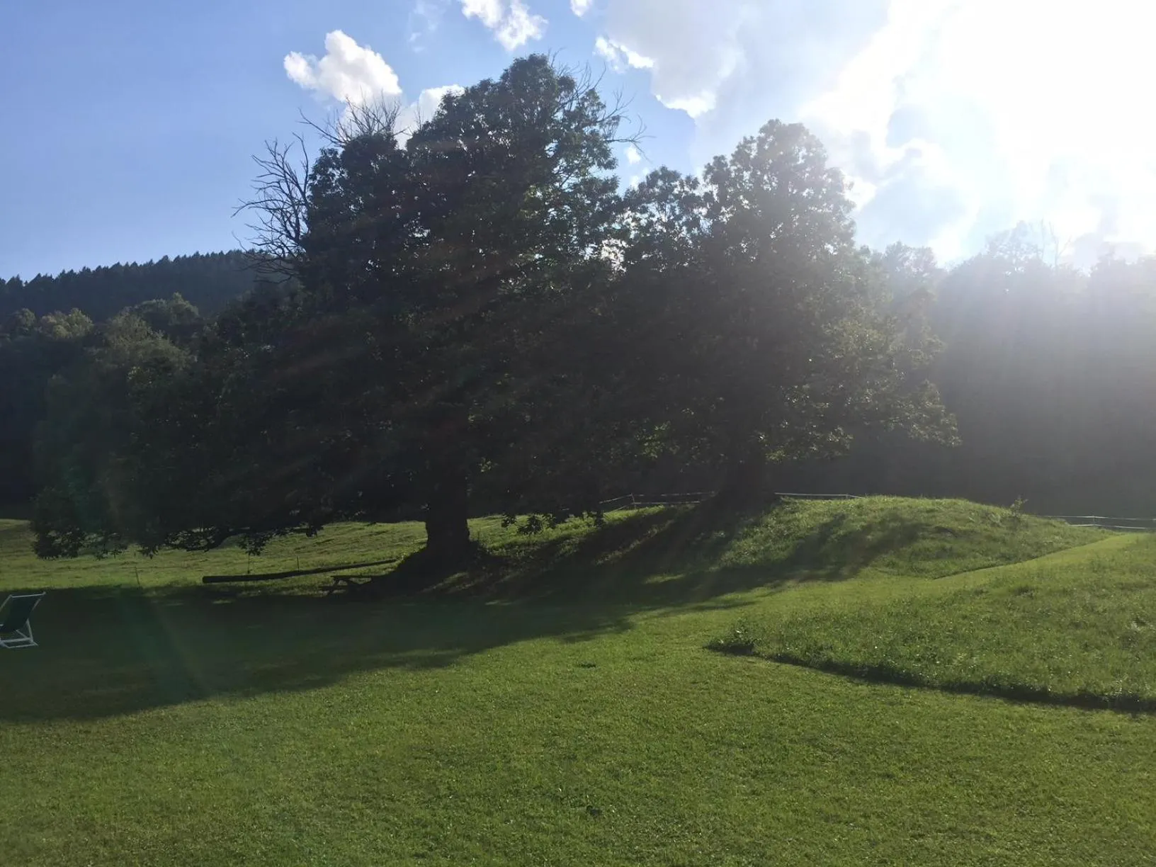 Garden in Hotel Villa Simplicitas
