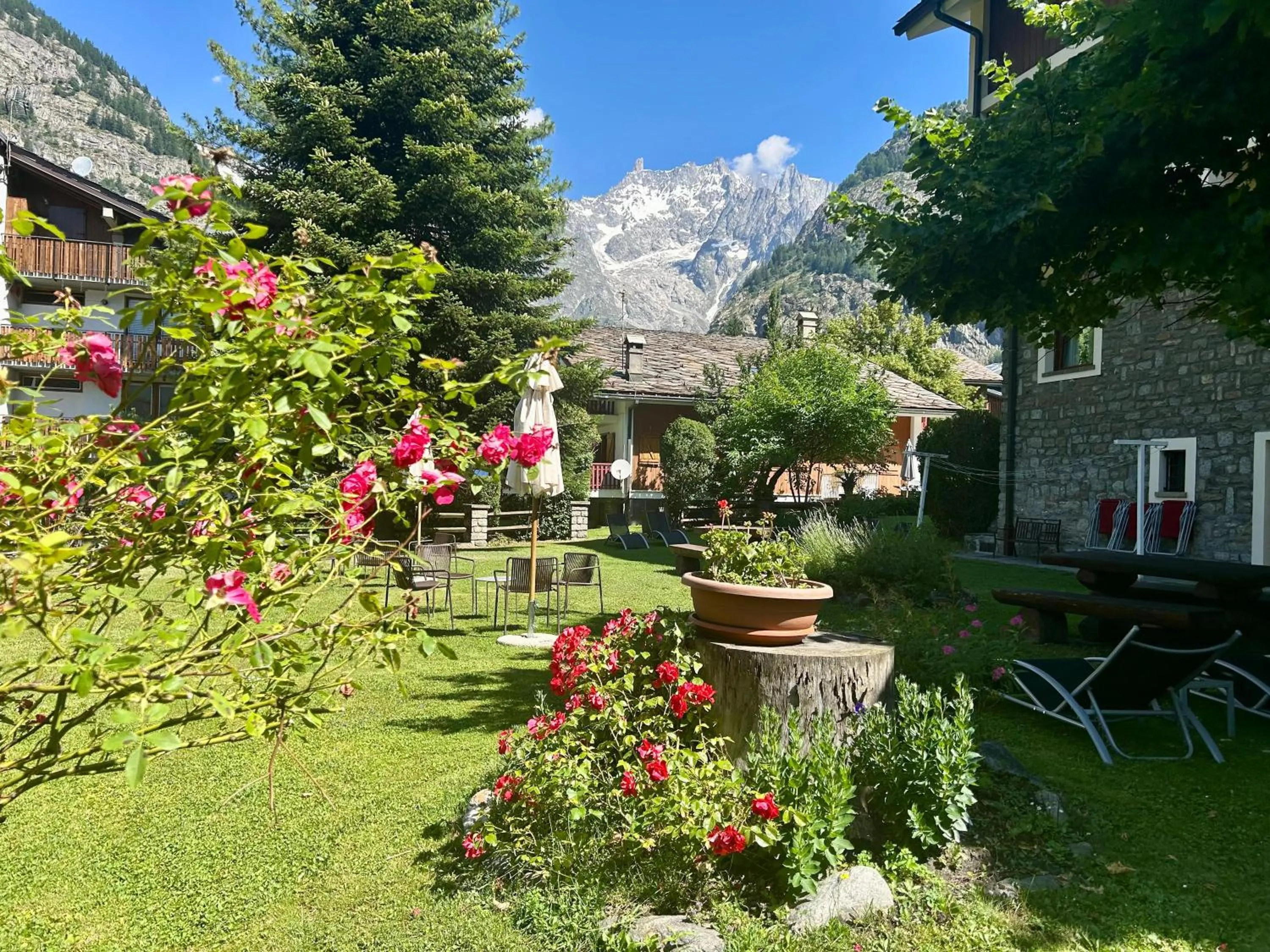 Garden in Hotel Croux