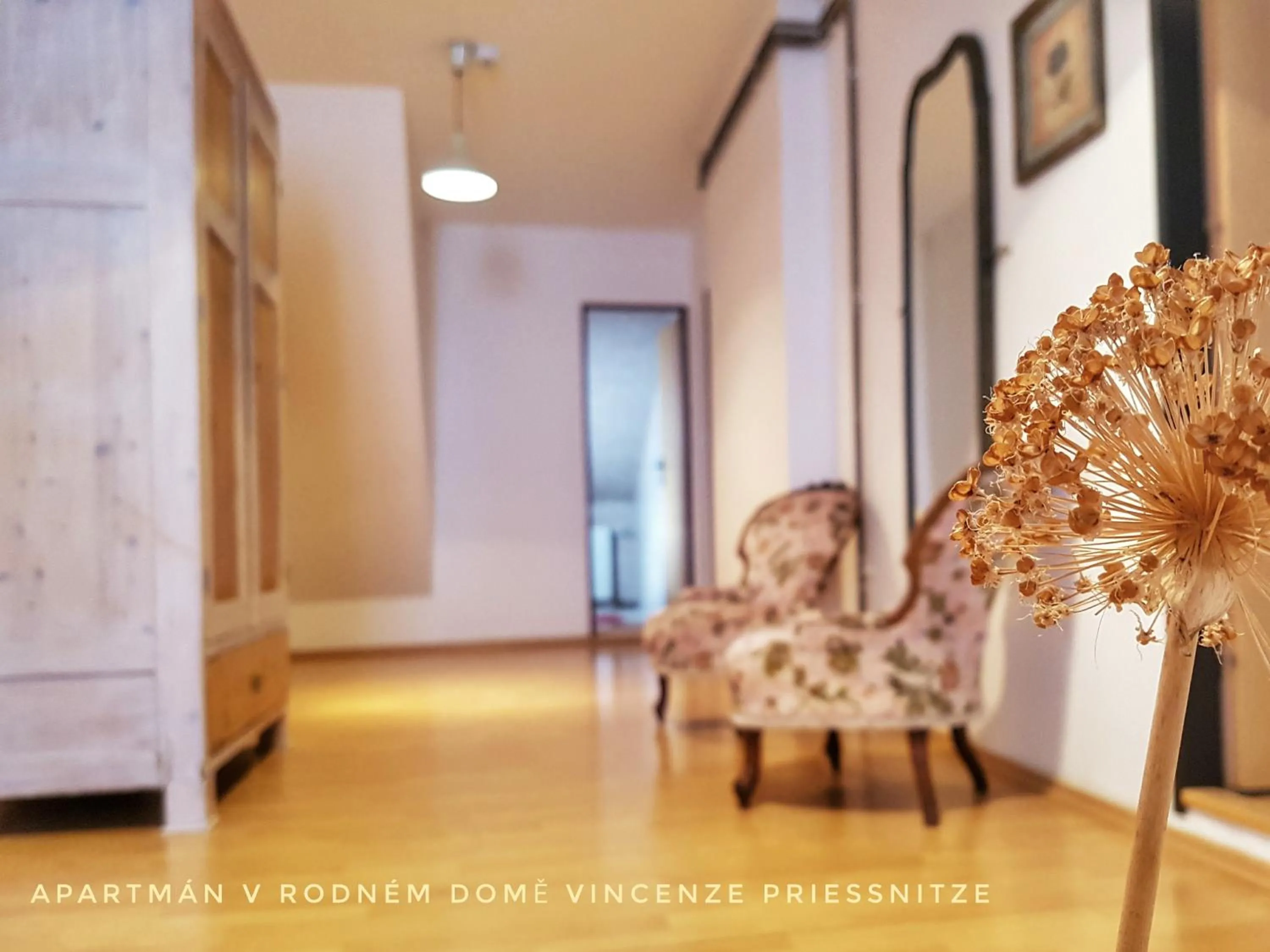 Apartmá v Rodném domě Vincenze Priessnitze v centru lázní