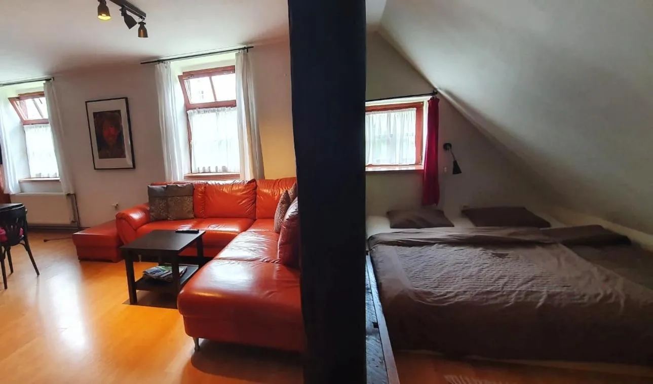 Apartmá v Rodném domě Vincenze Priessnitze v centru lázní