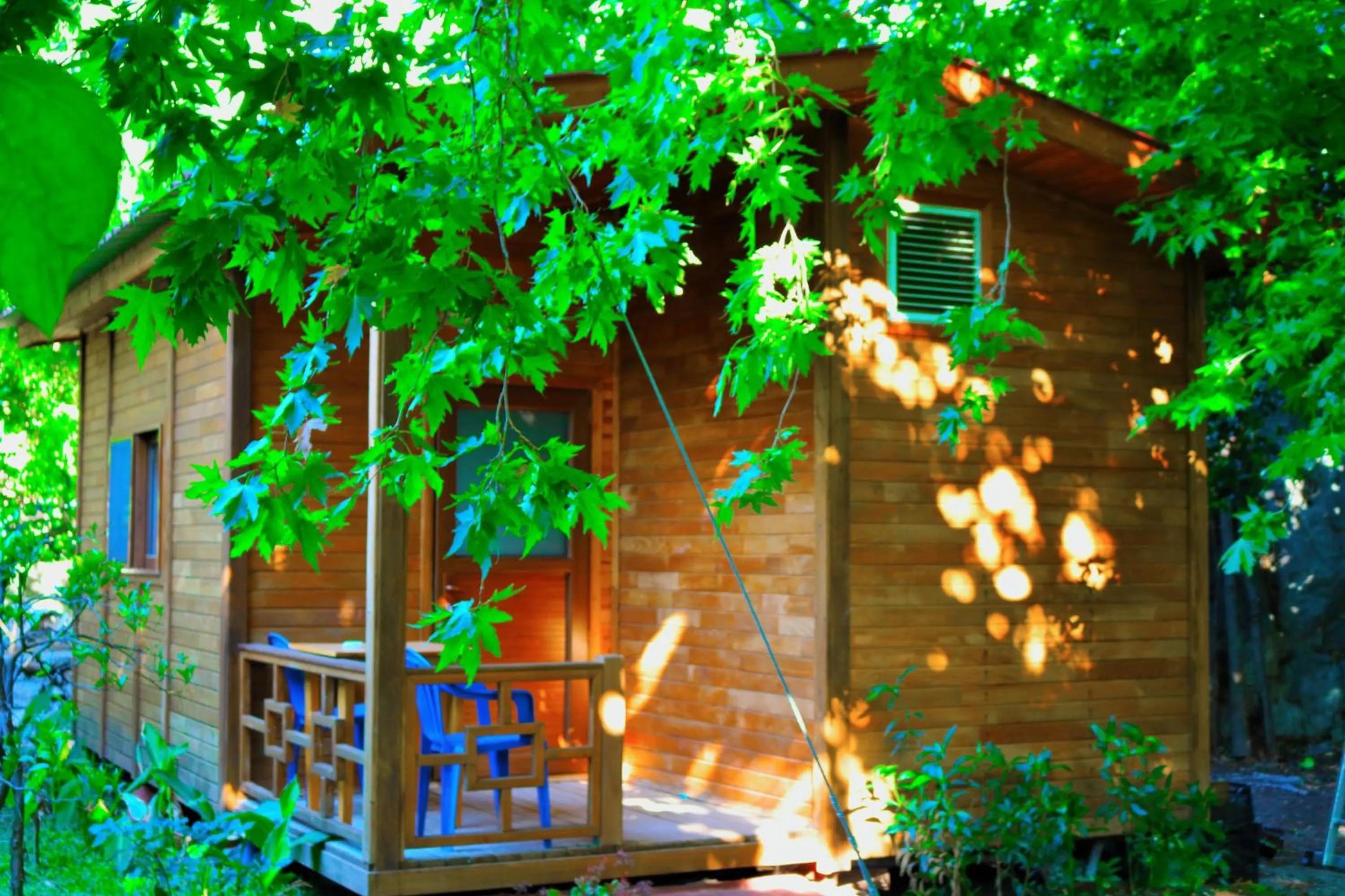 Garden view in Simge Pension