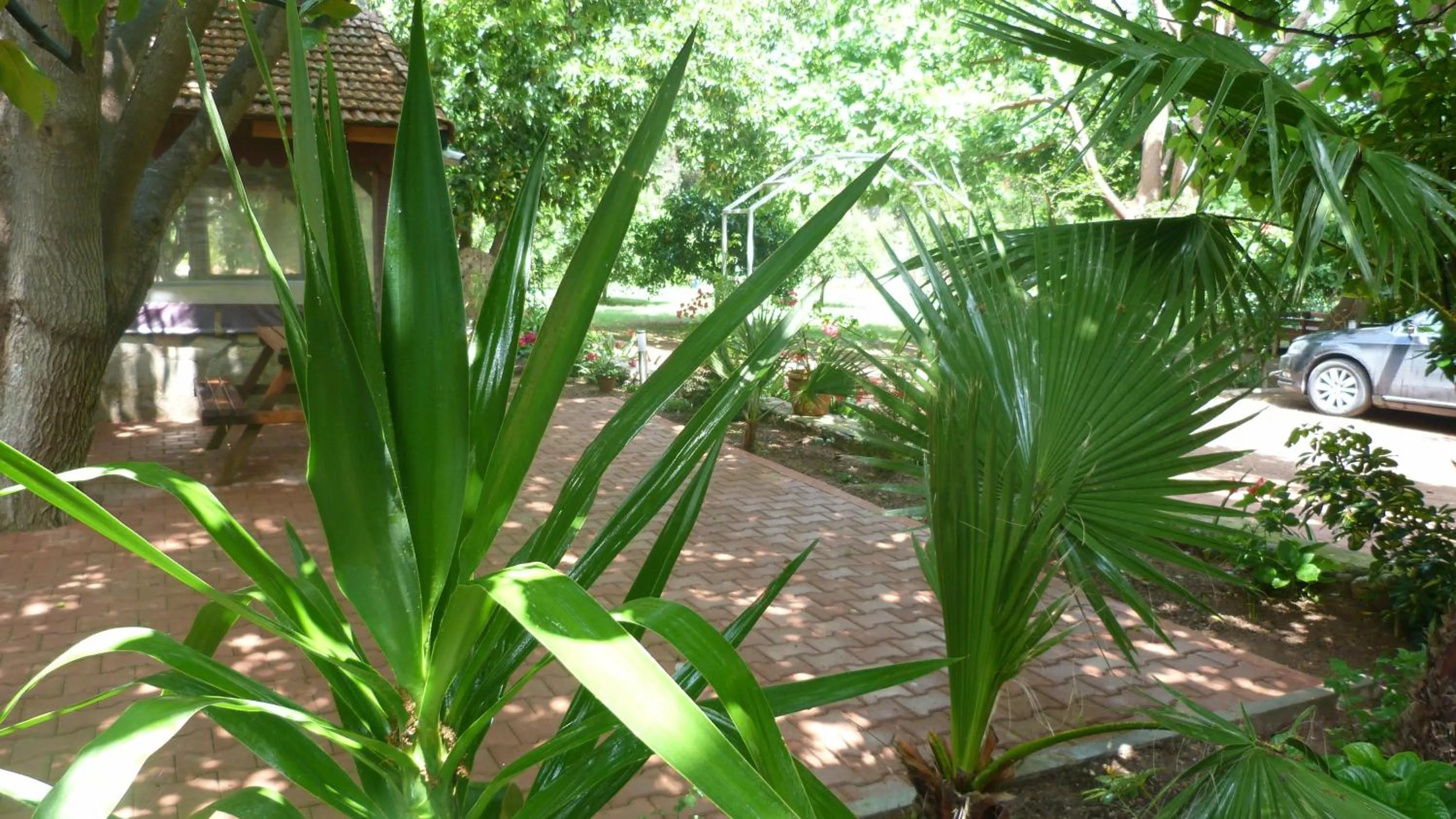 Garden in Simge Pension