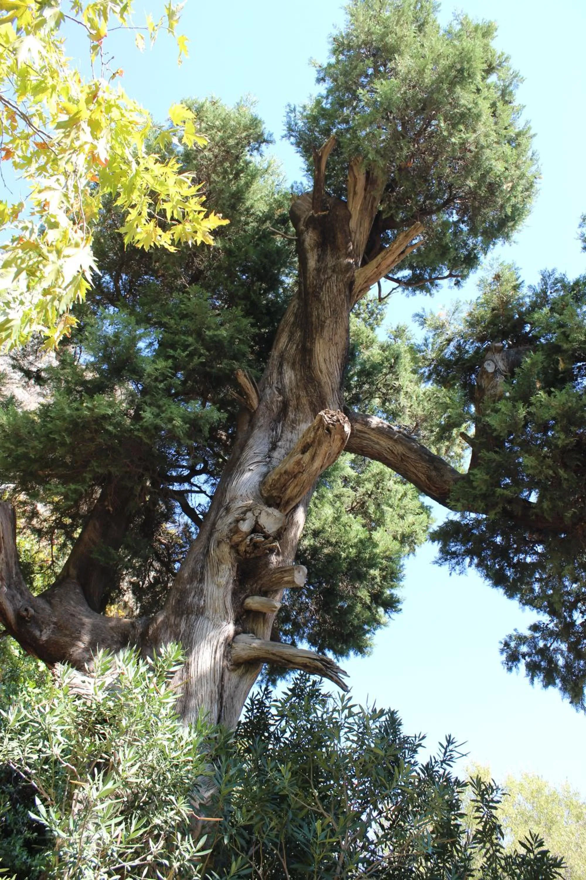 Decorative detail in Simge Pension