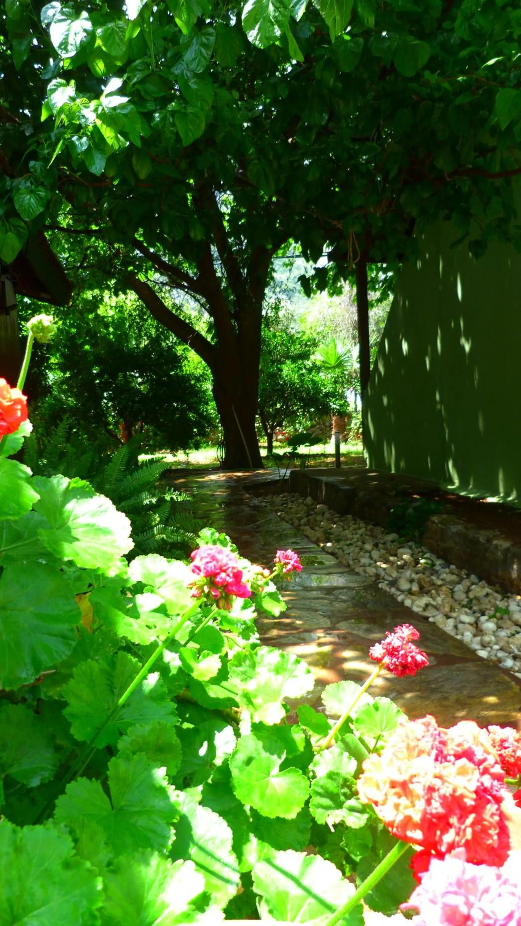 Garden in Simge Pension