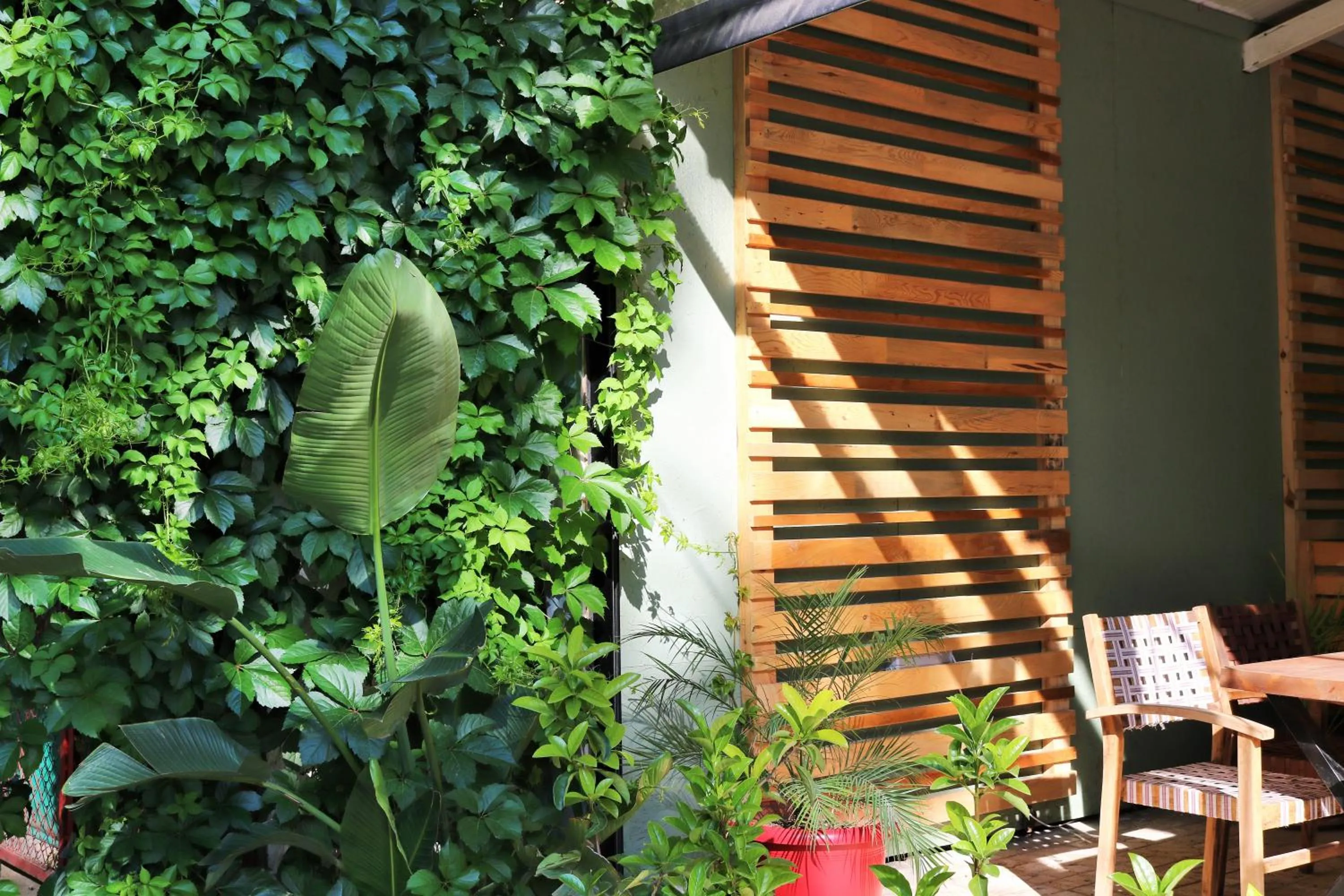 Restaurant/places to eat in Simge Pension