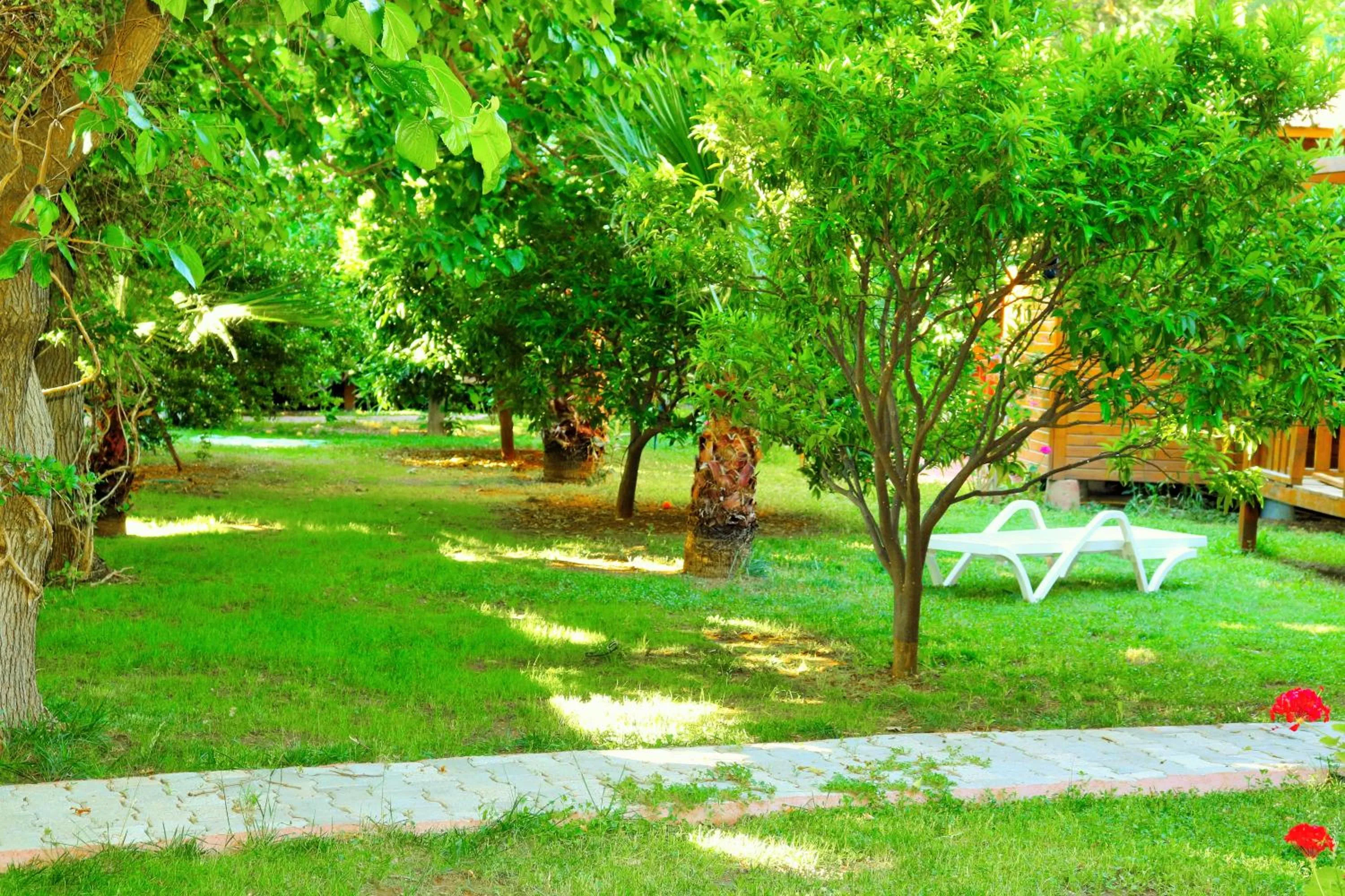 Garden in Simge Pension