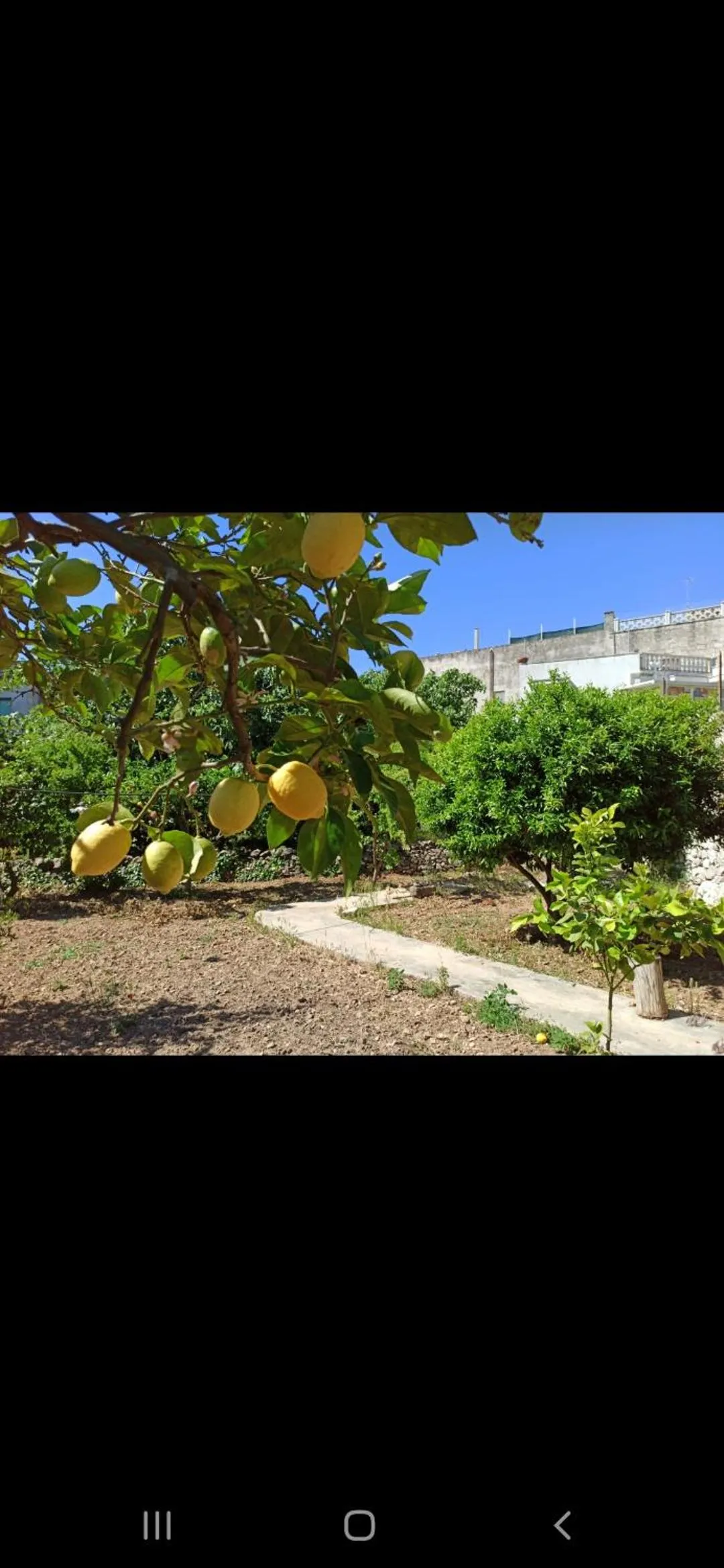 Garden in B&B L'Antico Ortale