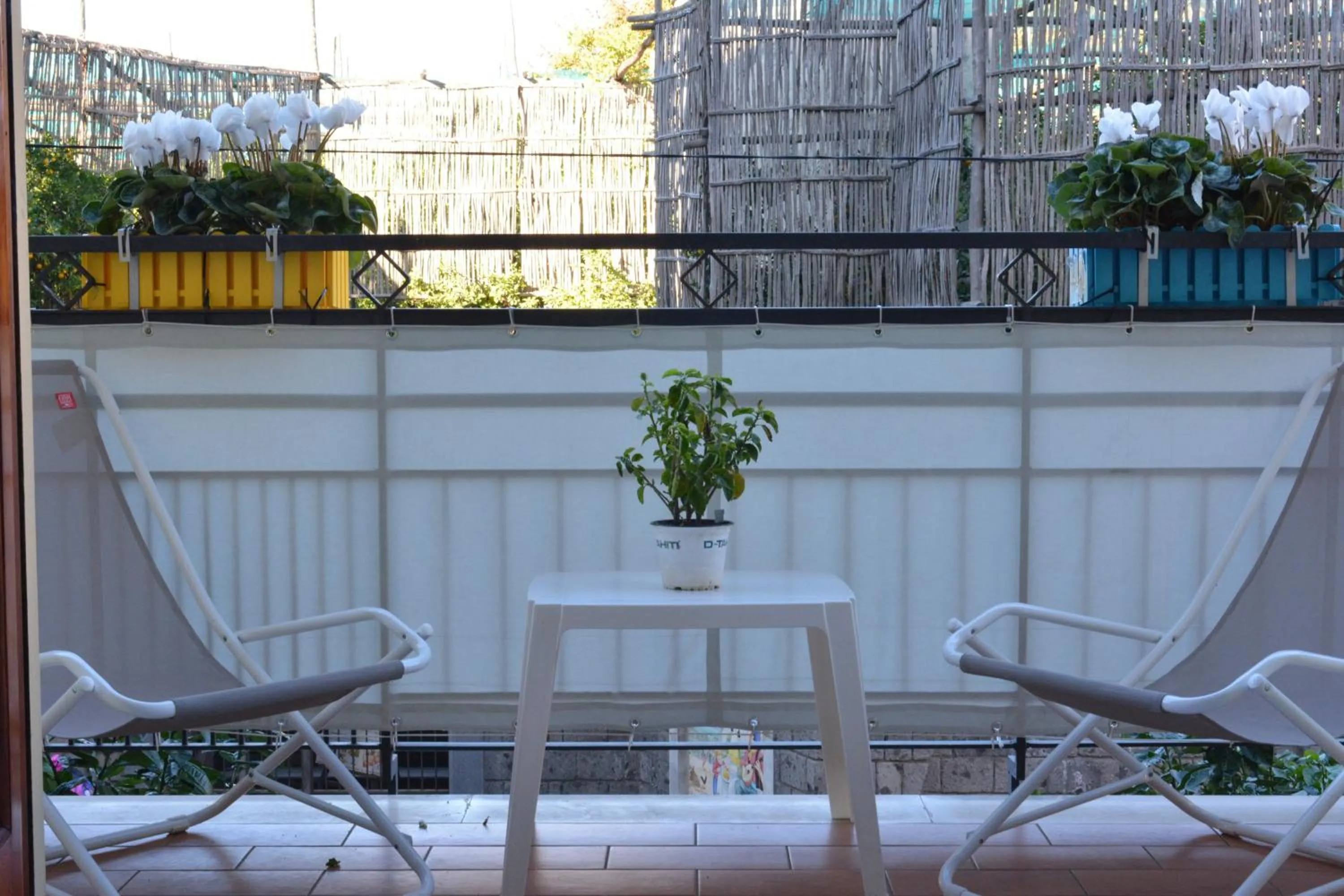 Balcony/Terrace in Flower Suites Sorrento