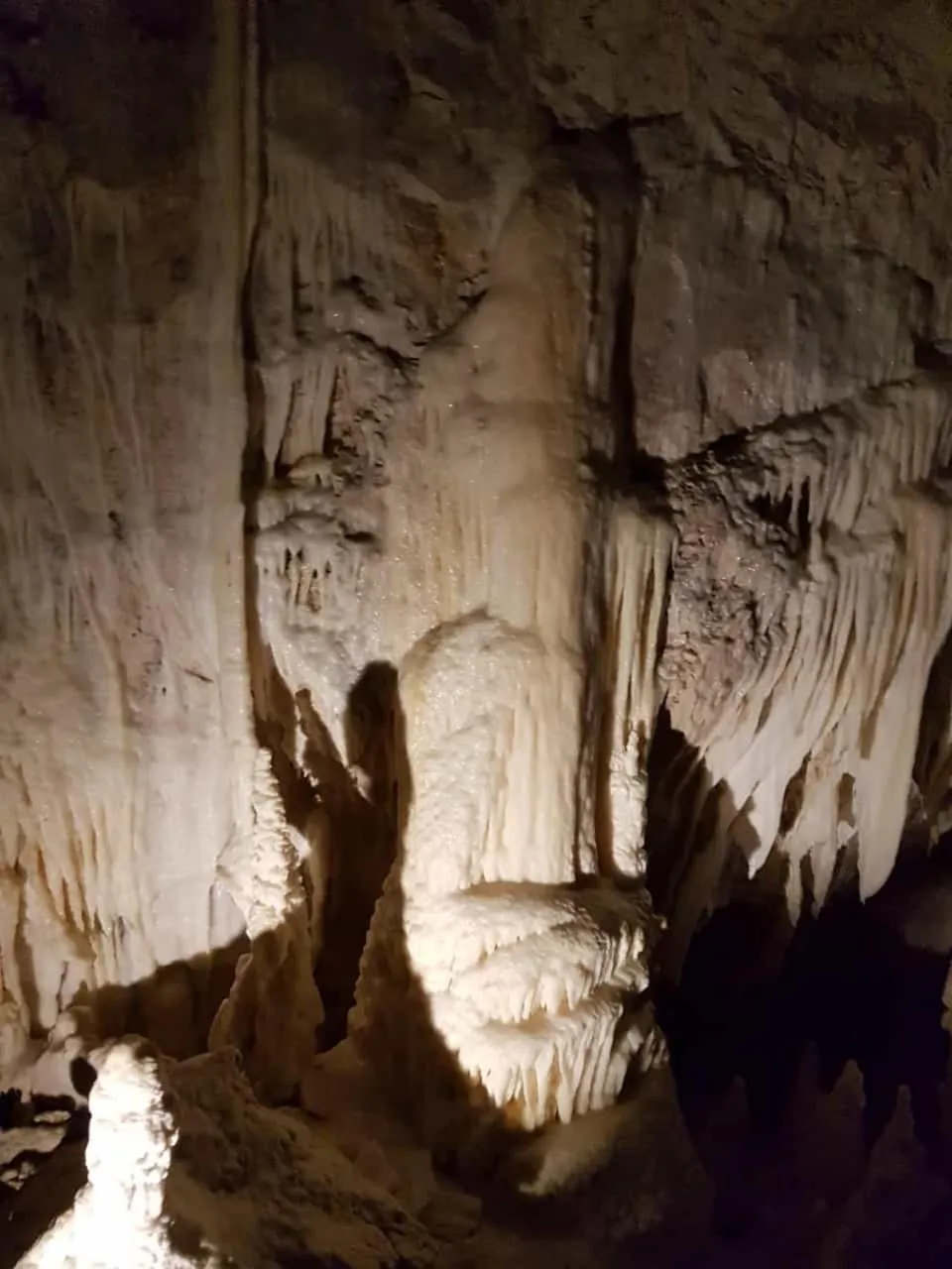 Residence Via Benamati