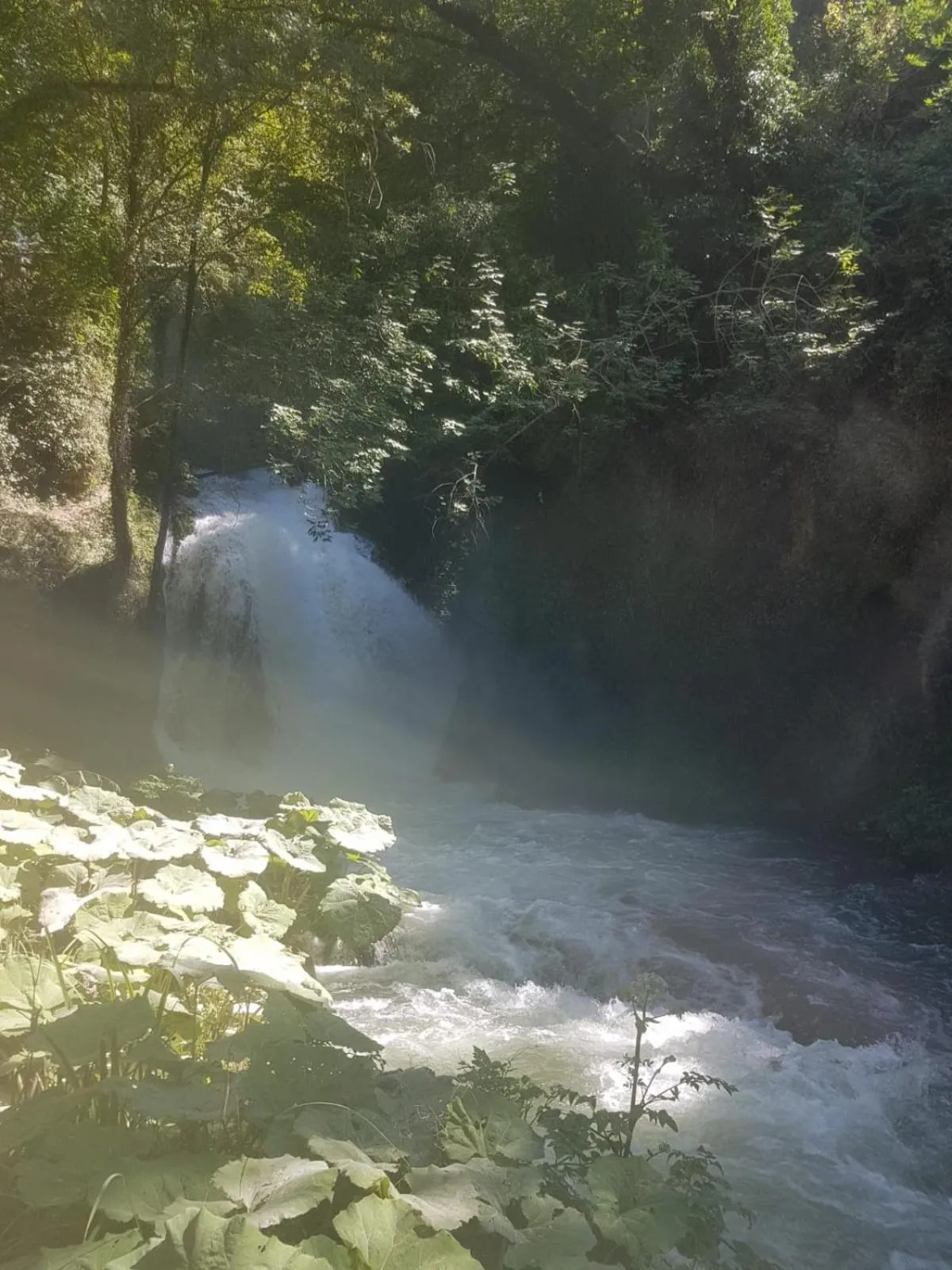 Residence Via Benamati