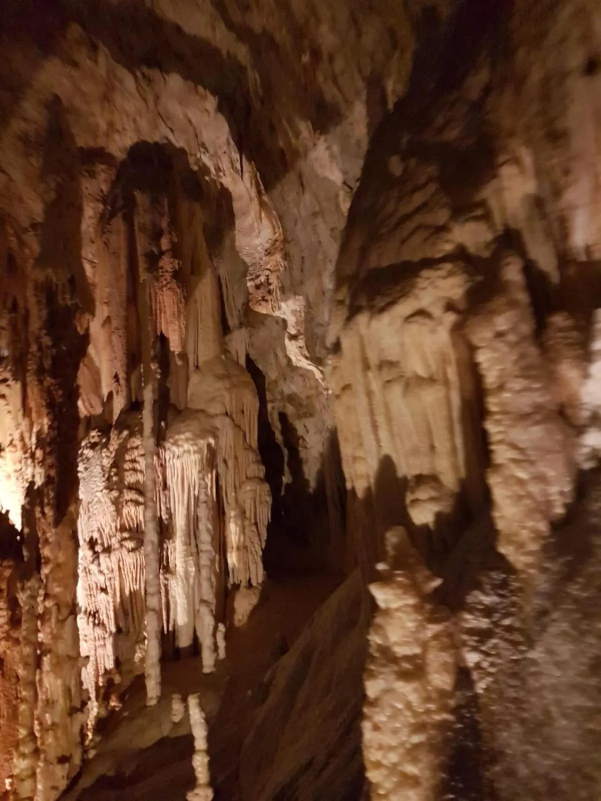 Residence Via Benamati