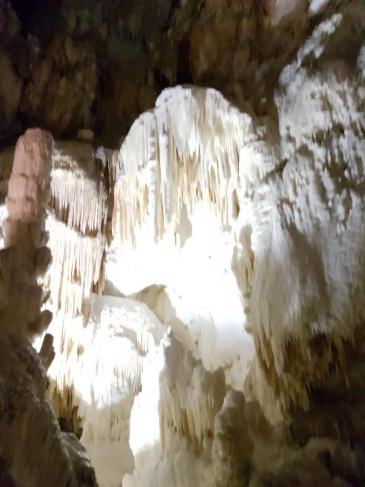 Residence Via Benamati