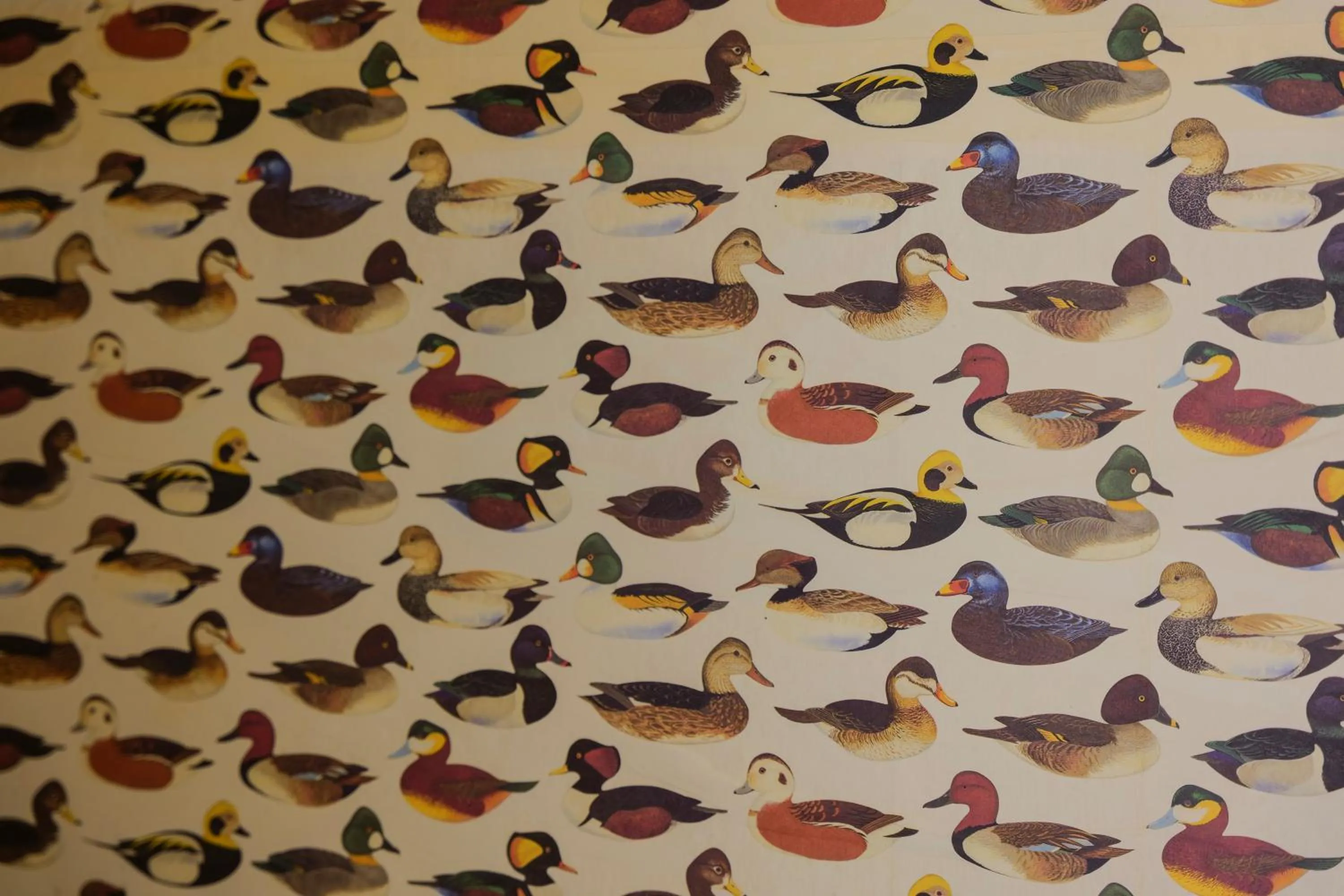 Decorative detail in Hotel Club i Pini - Residenza d'Epoca in Versilia