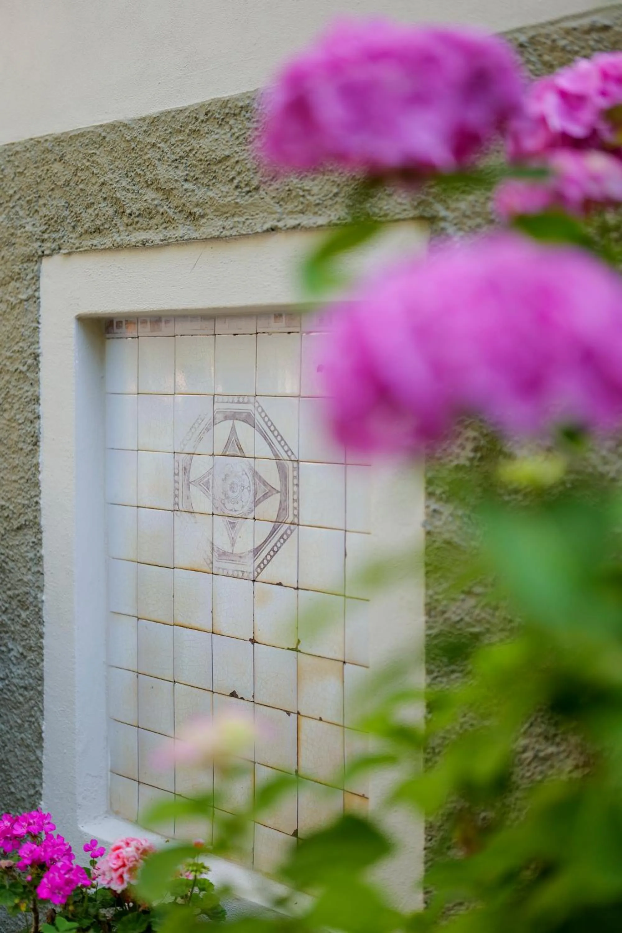 Garden in Hotel Club i Pini - Residenza d'Epoca in Versilia
