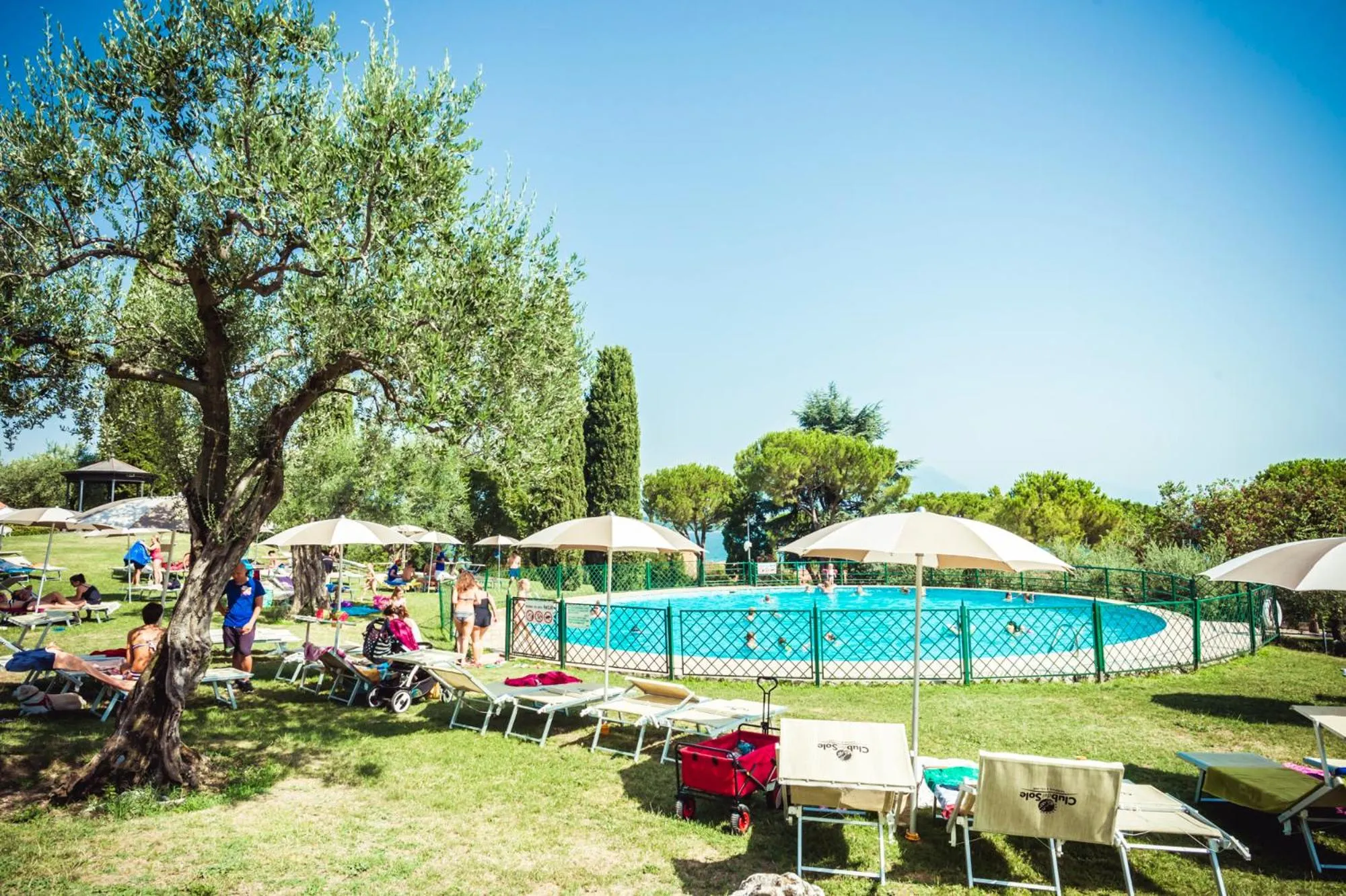 Garden in Club del Sole Desenzano Boutique Resort