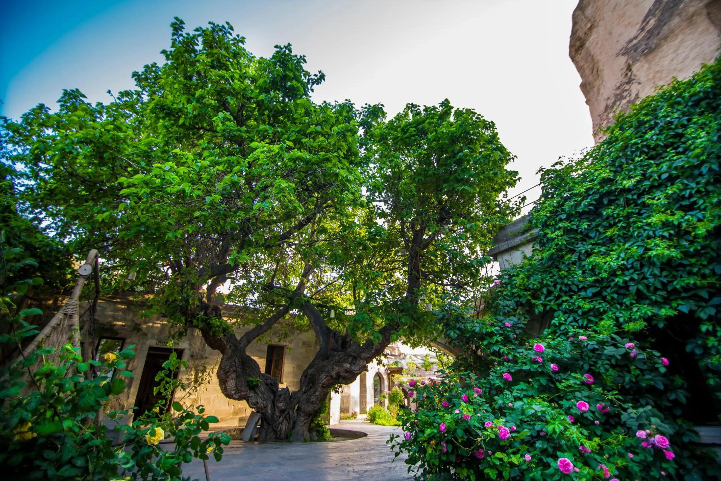 Facade/entrance in Dervish Cave House & Restaurant