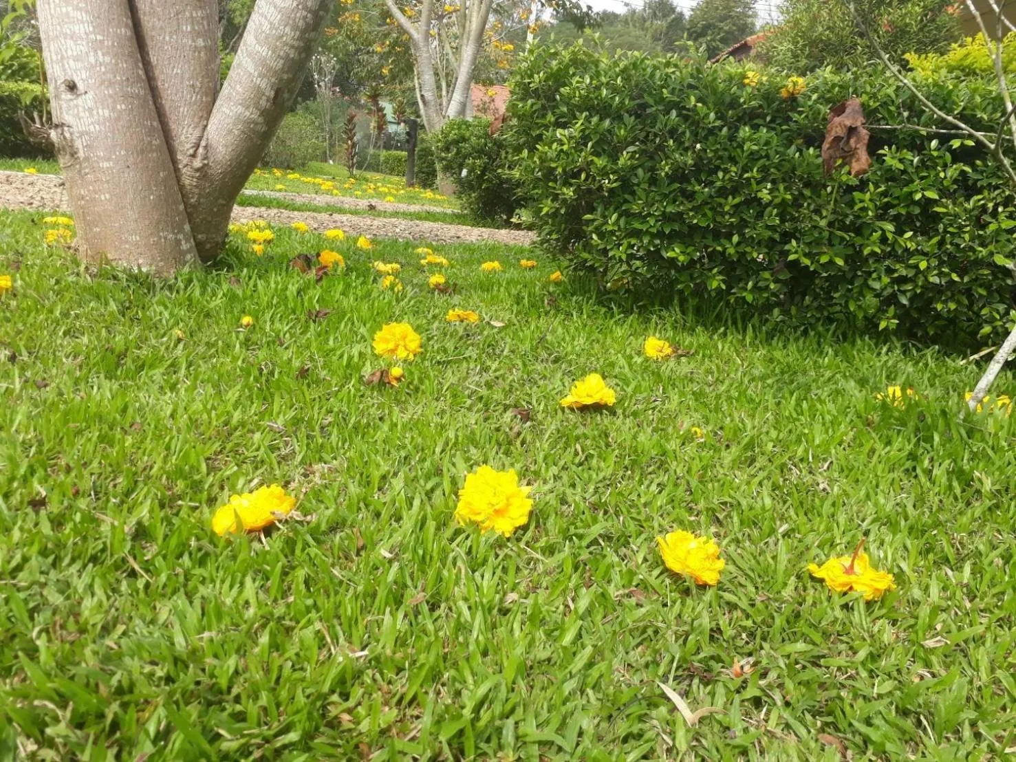 Mek Kiri Riverkwai Resort SHA