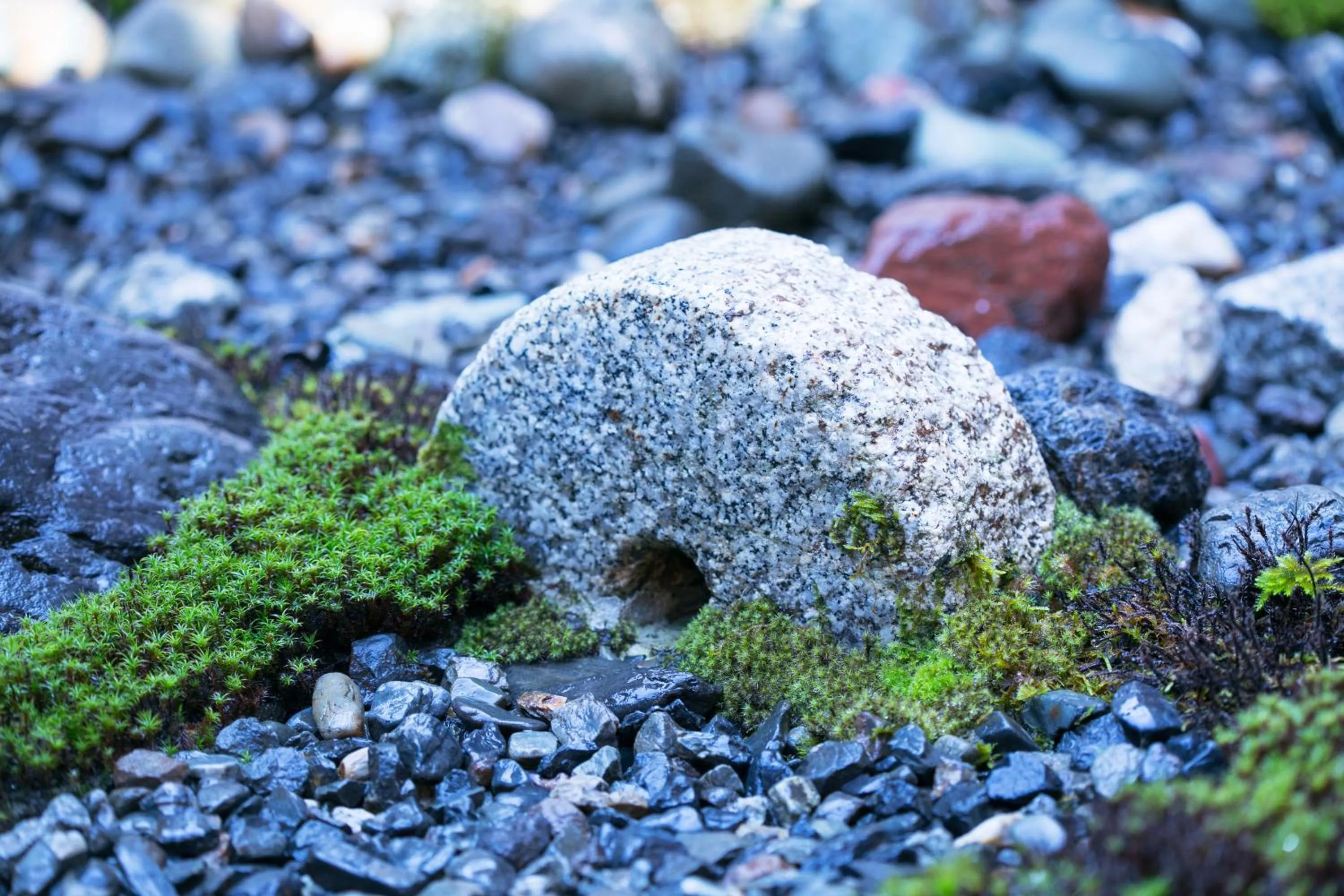Garden in Ryokan Mugen (Adult Only)