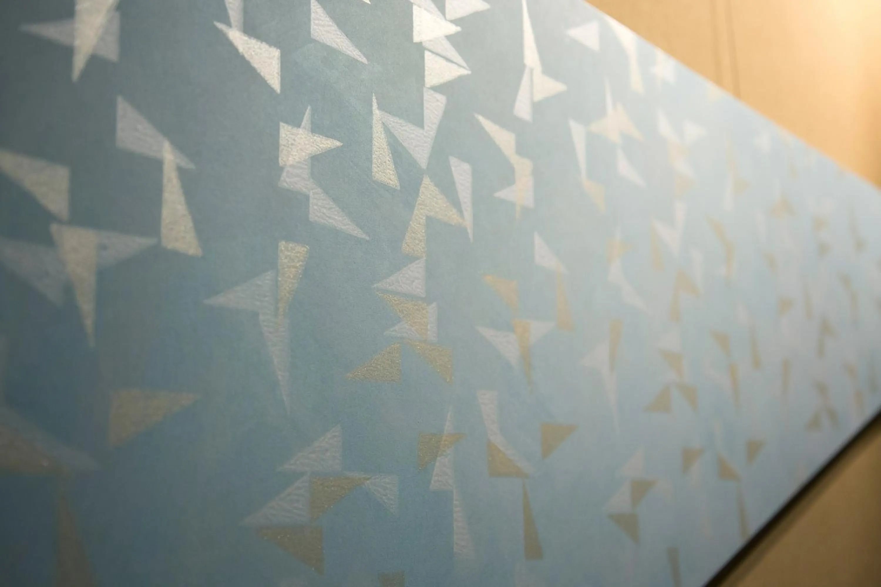 Other in Ryokan Mugen (Adult Only)