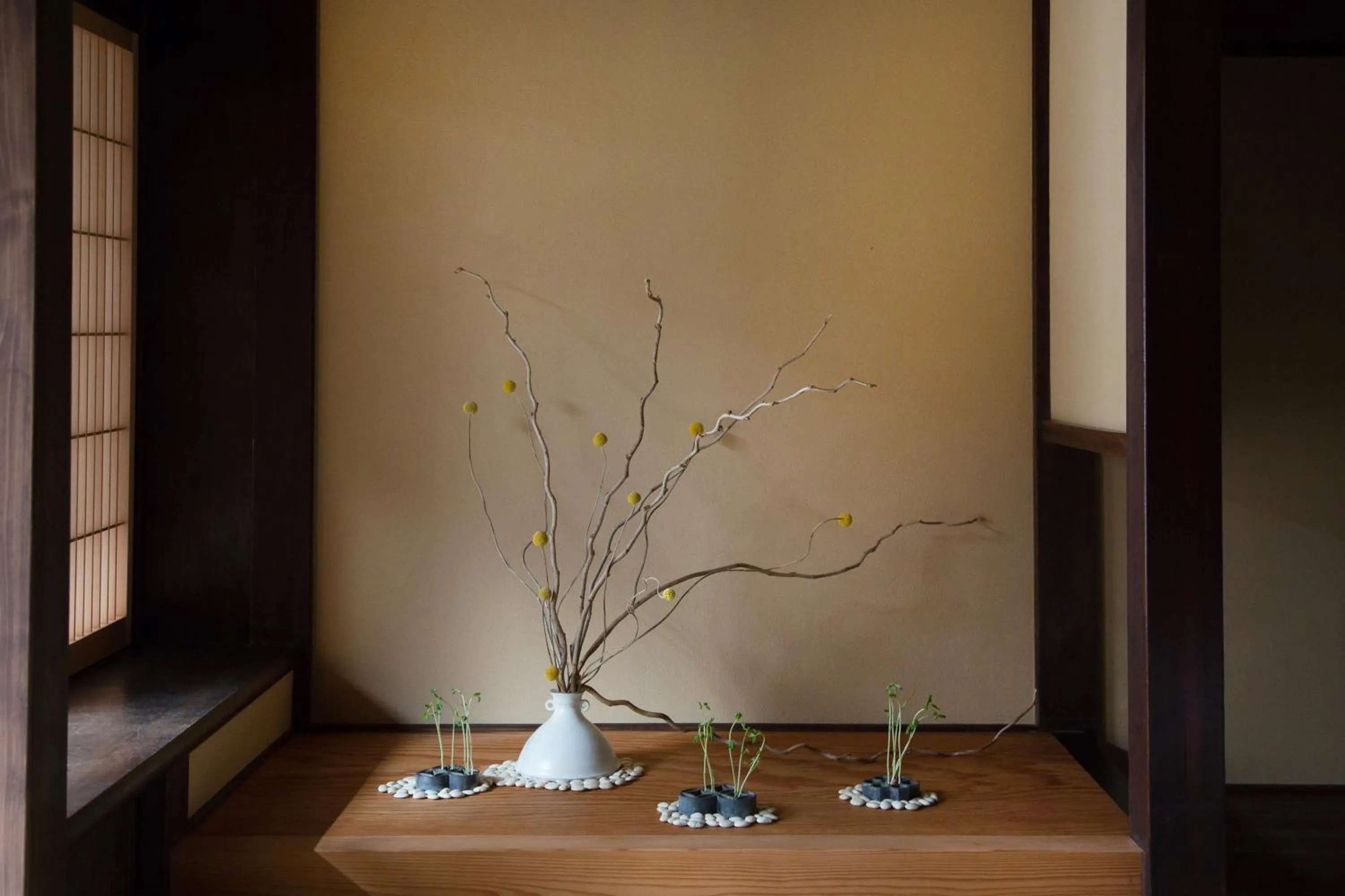 Other in Ryokan Mugen (Adult Only)
