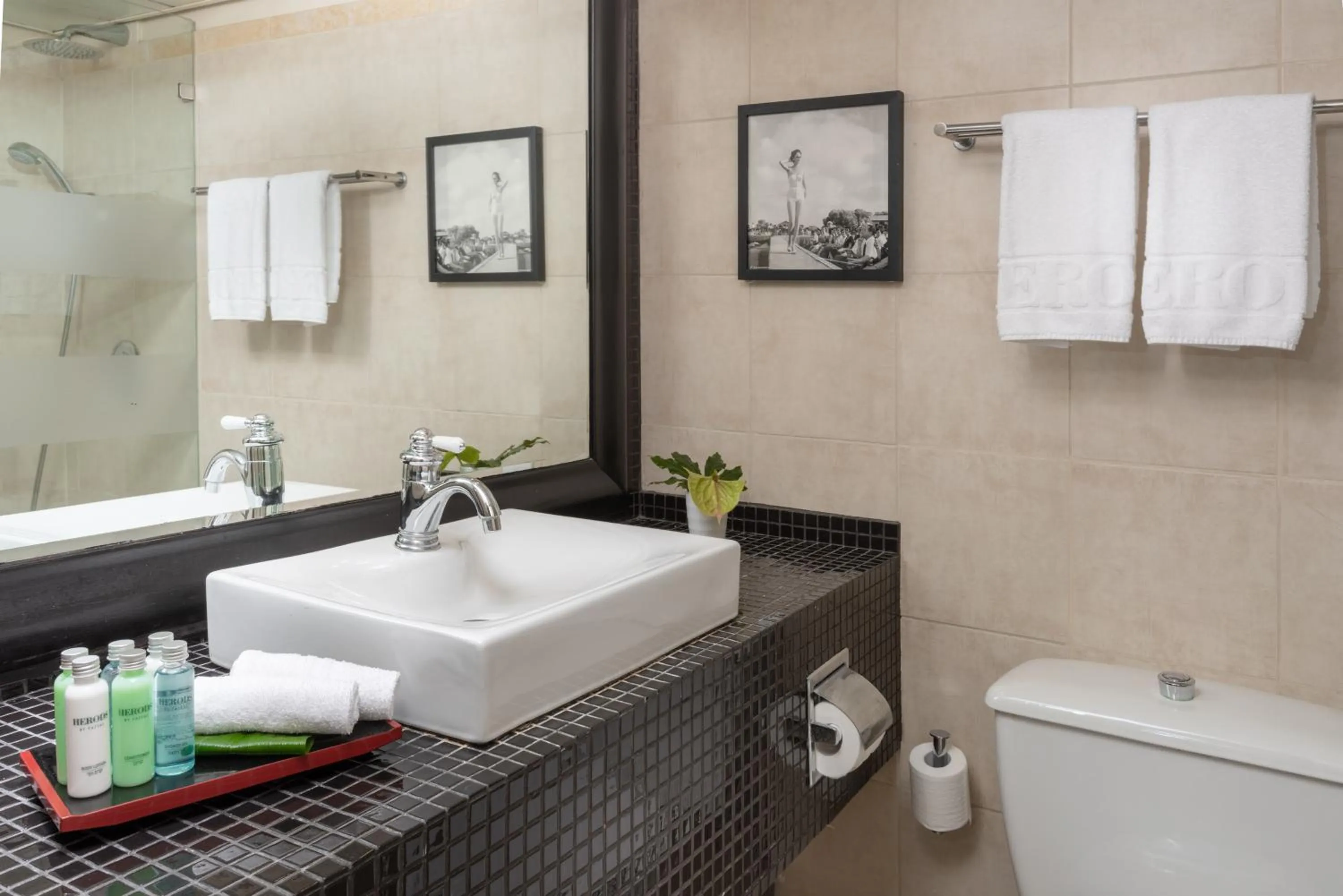 Bathroom in Herods Tel Aviv By The Beach