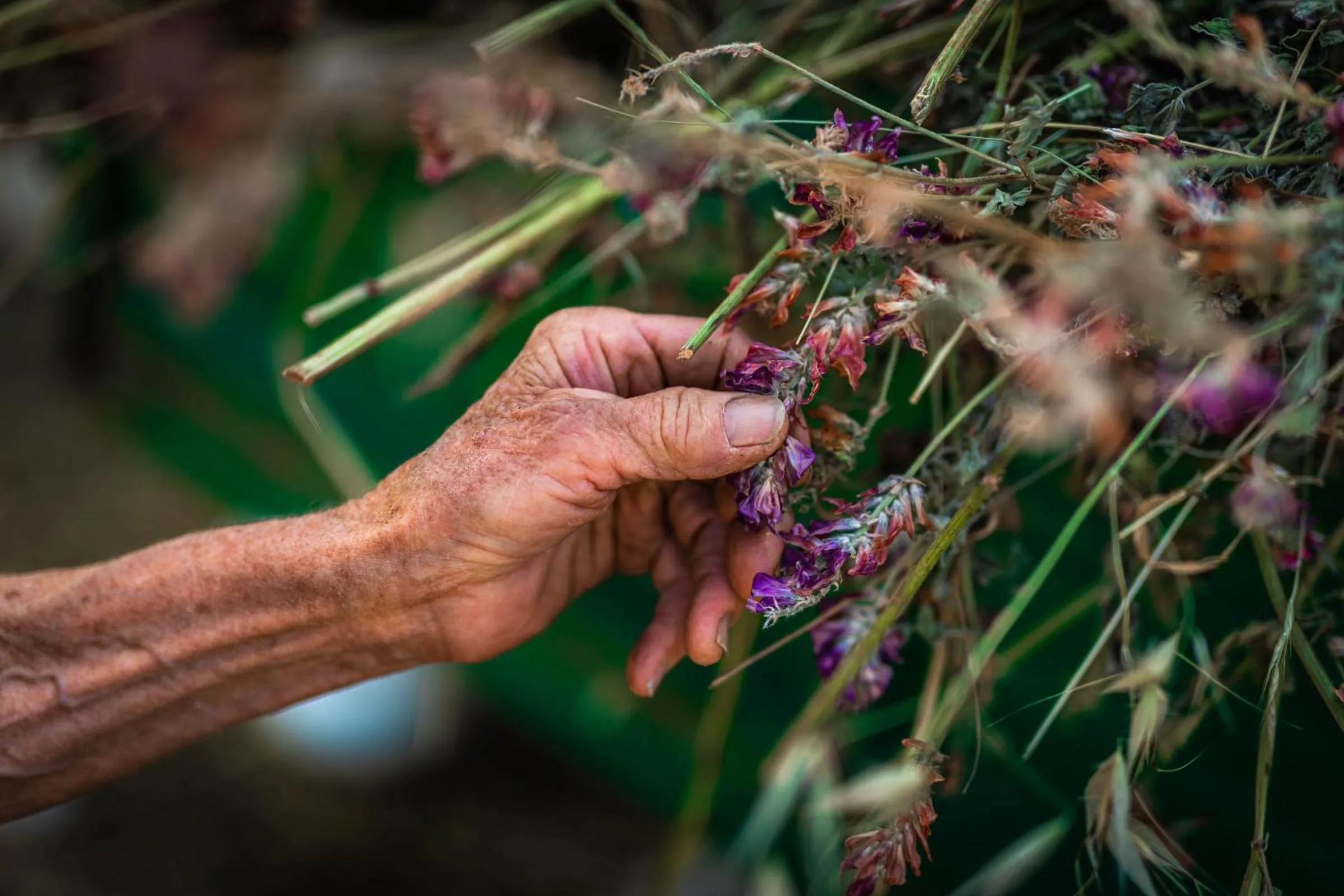 People in B&B La Mortella