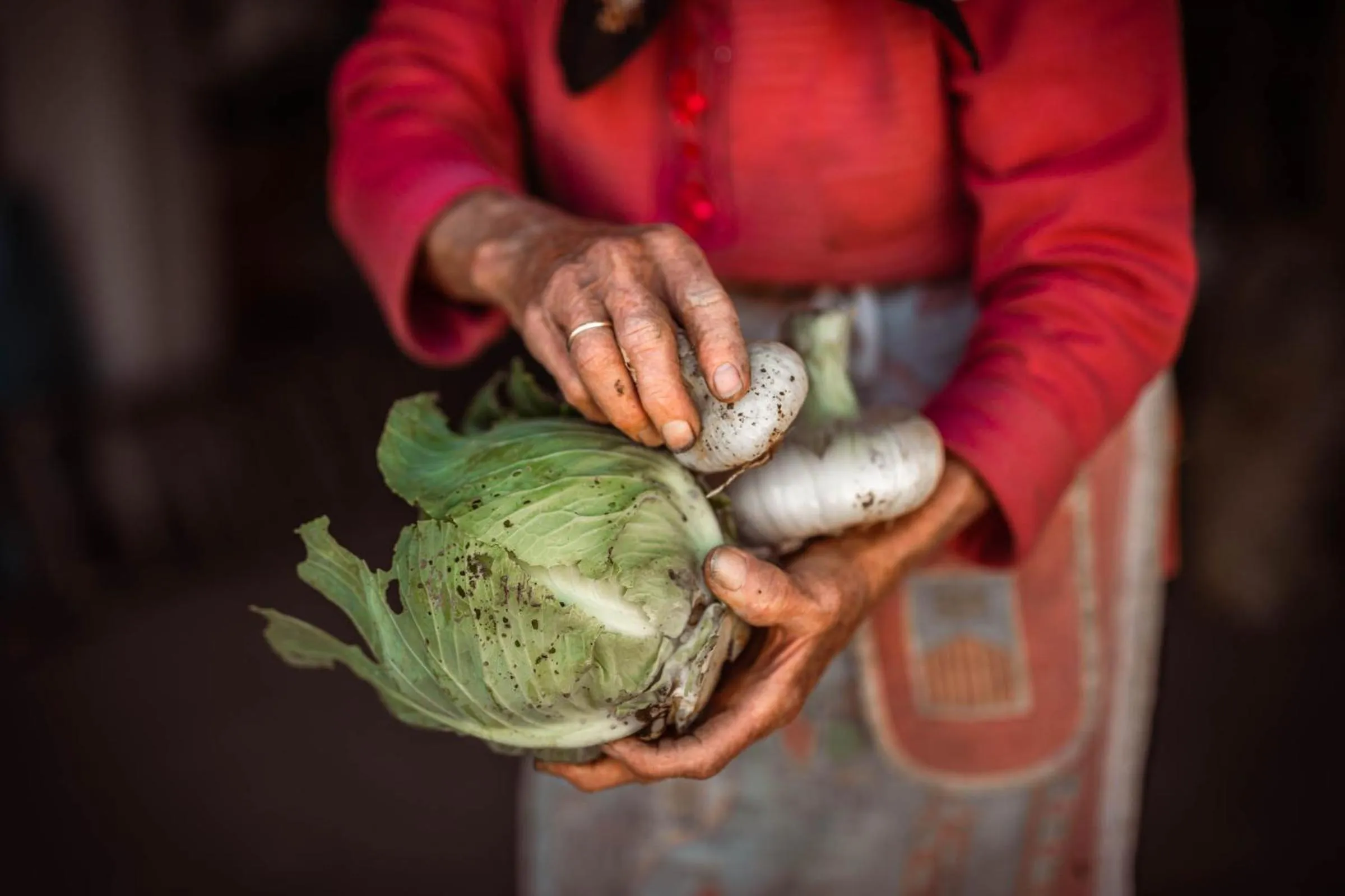 Food in B&B La Mortella