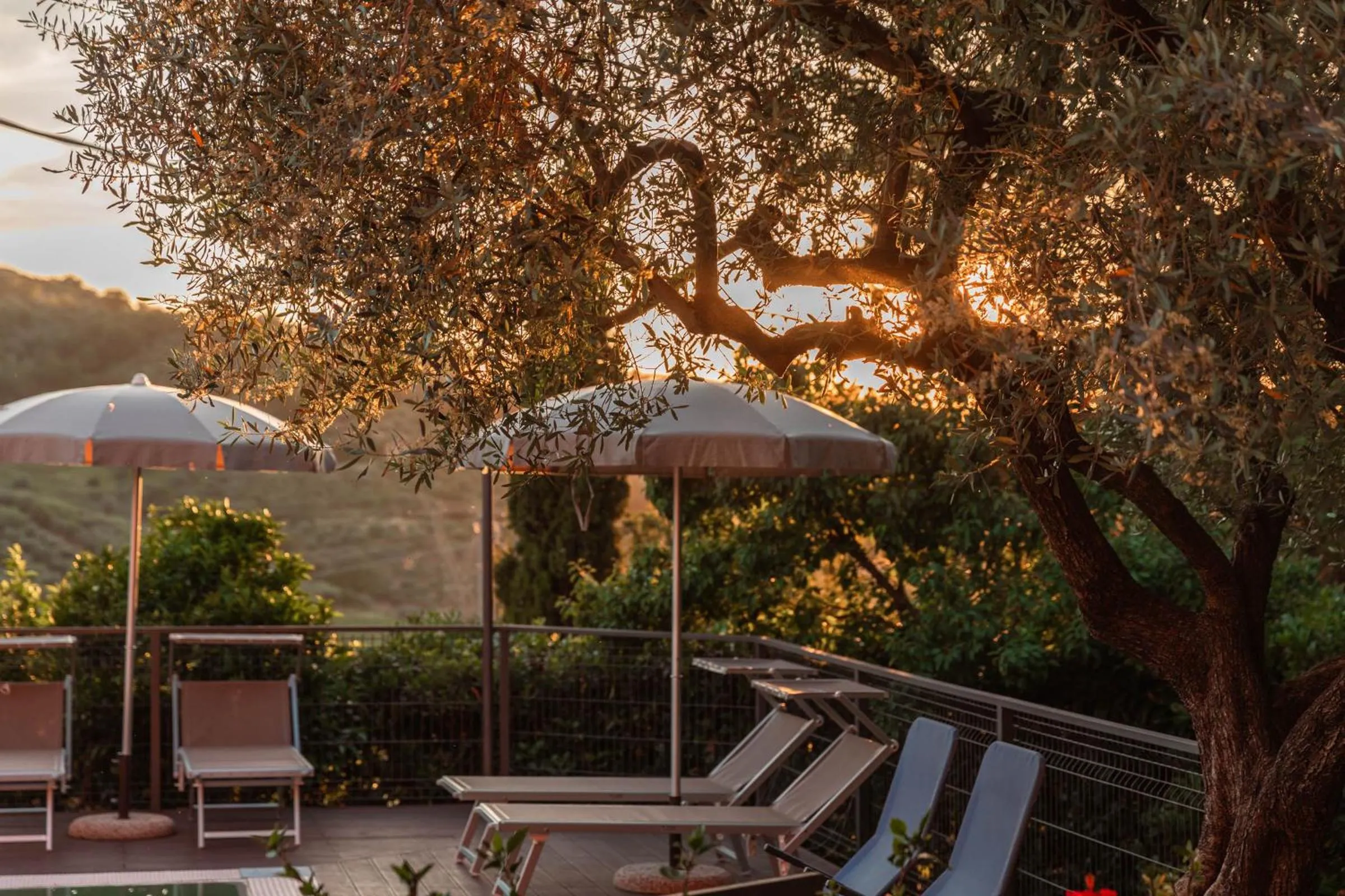 Swimming pool in B&B La Mortella
