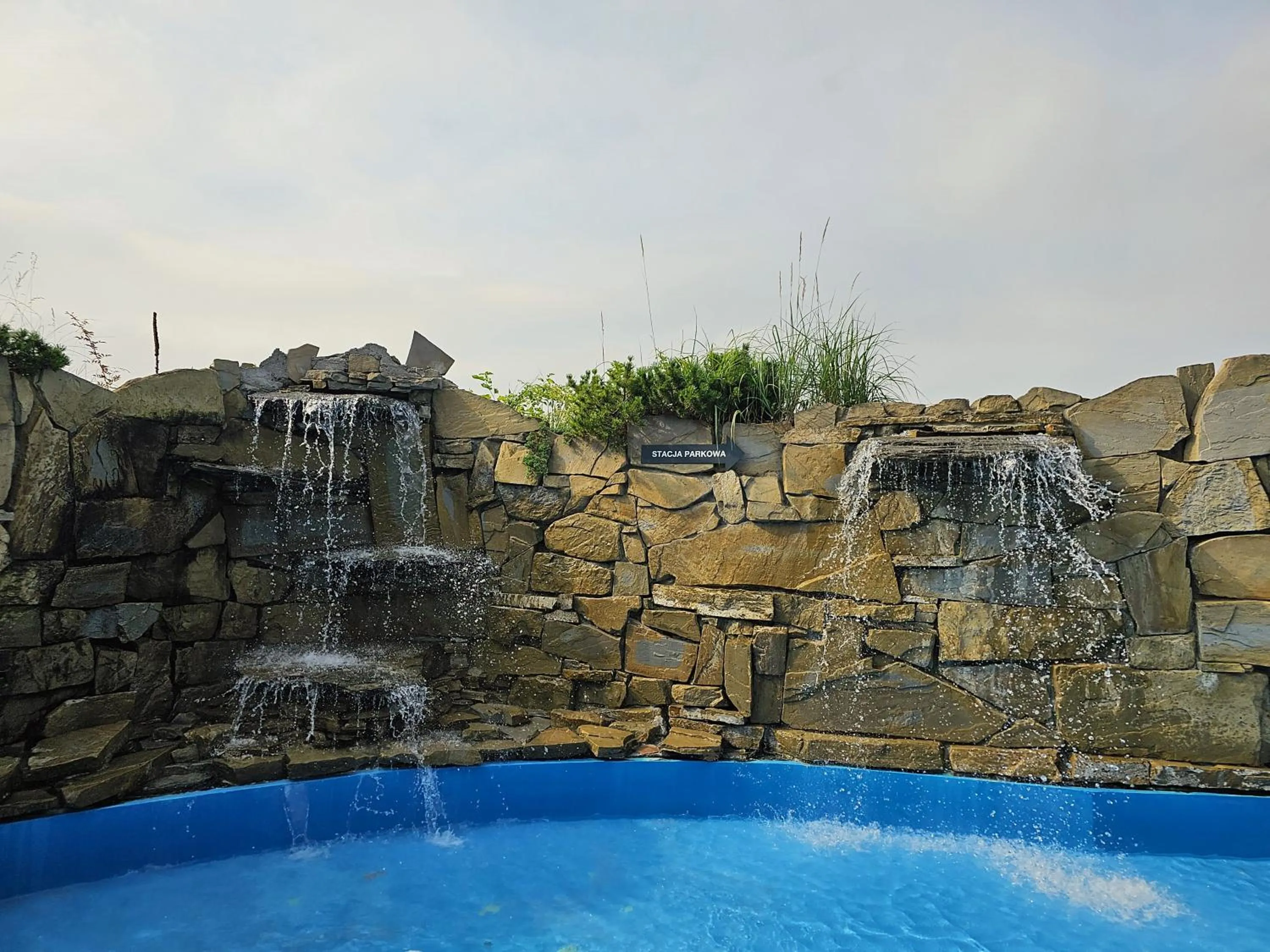 Garden in Hotel Swing