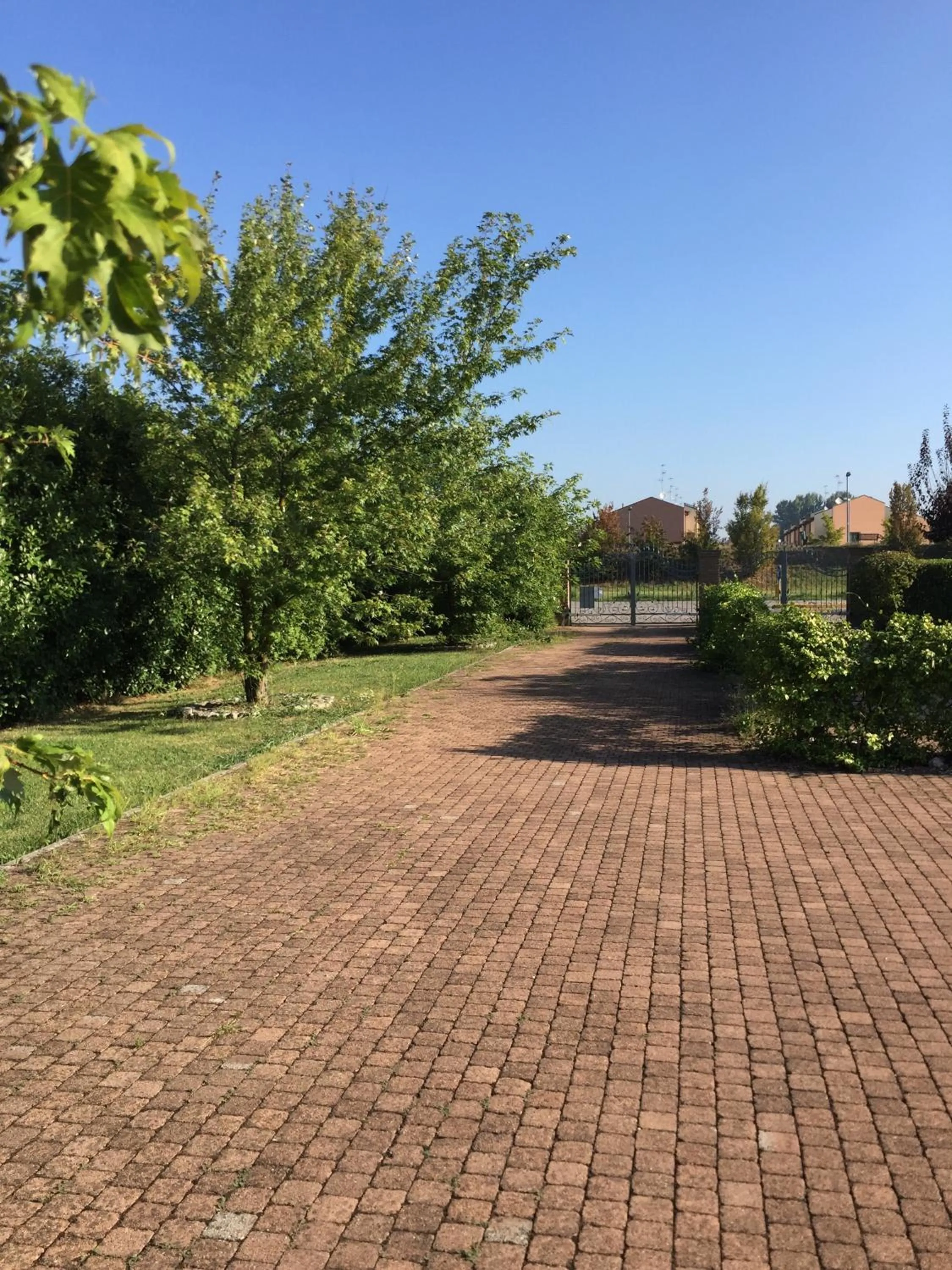 Garden view in B&B Oasi