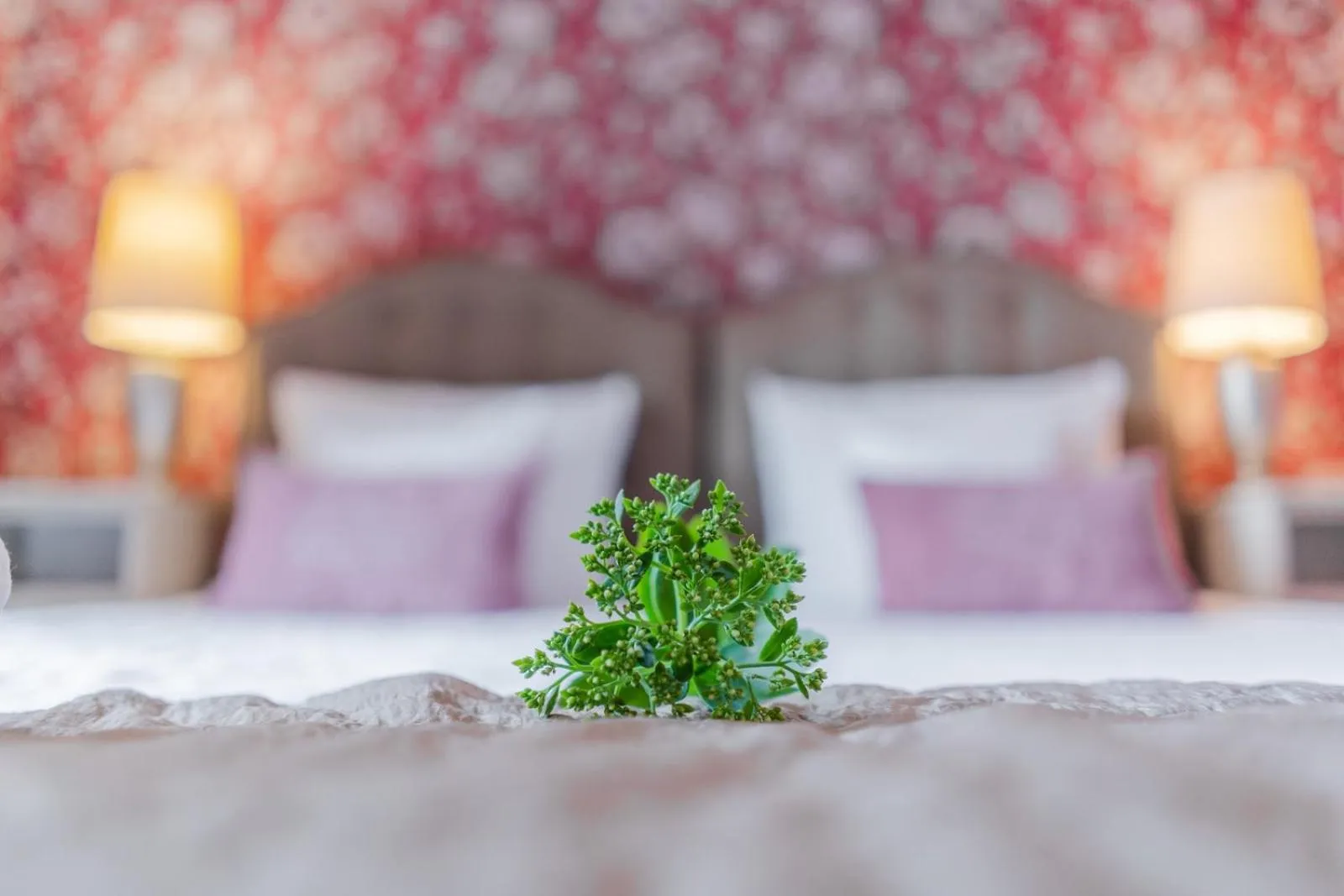 Bed in Dwór Kaliszki