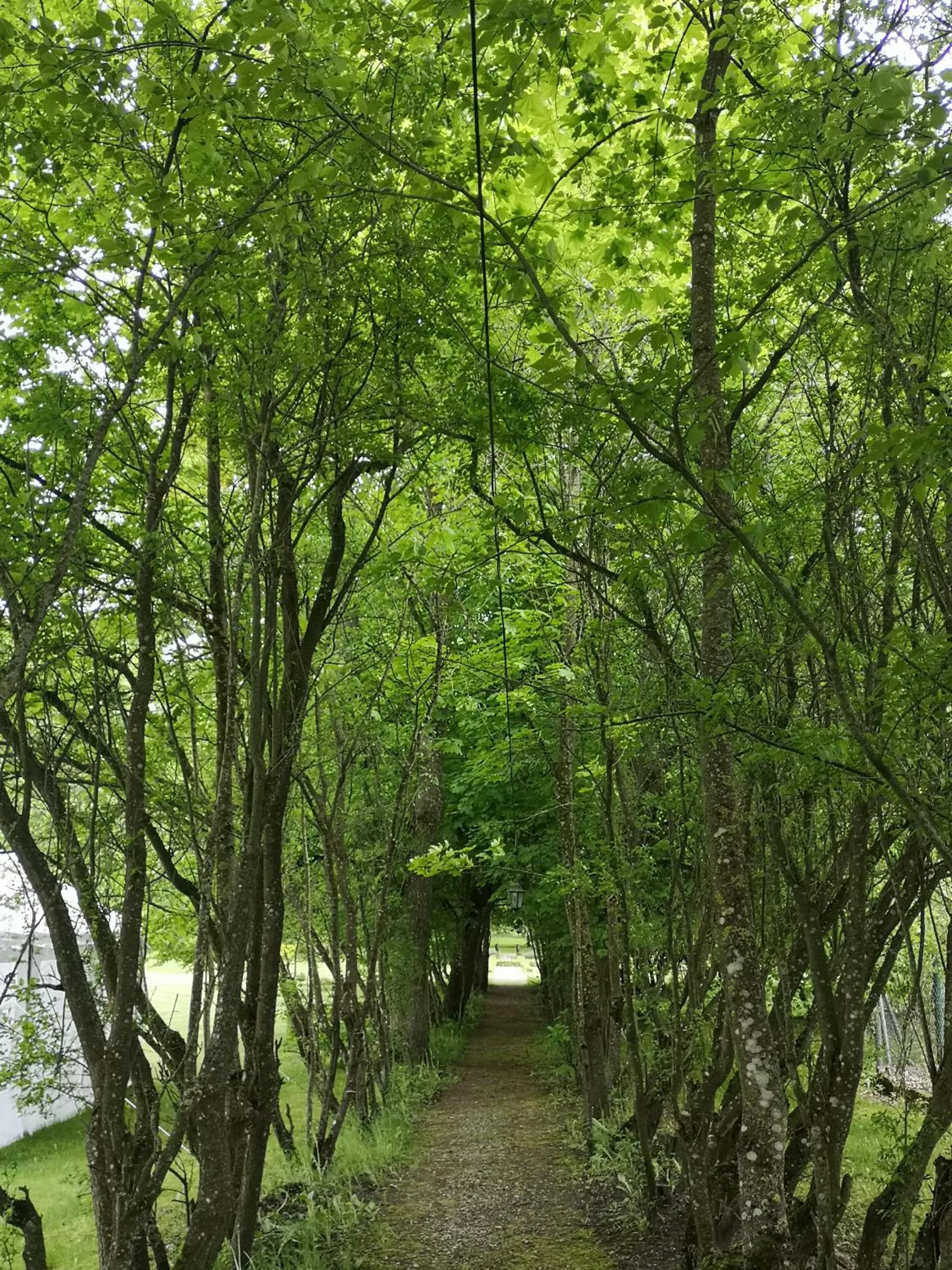 Garden in Dwór Kaliszki