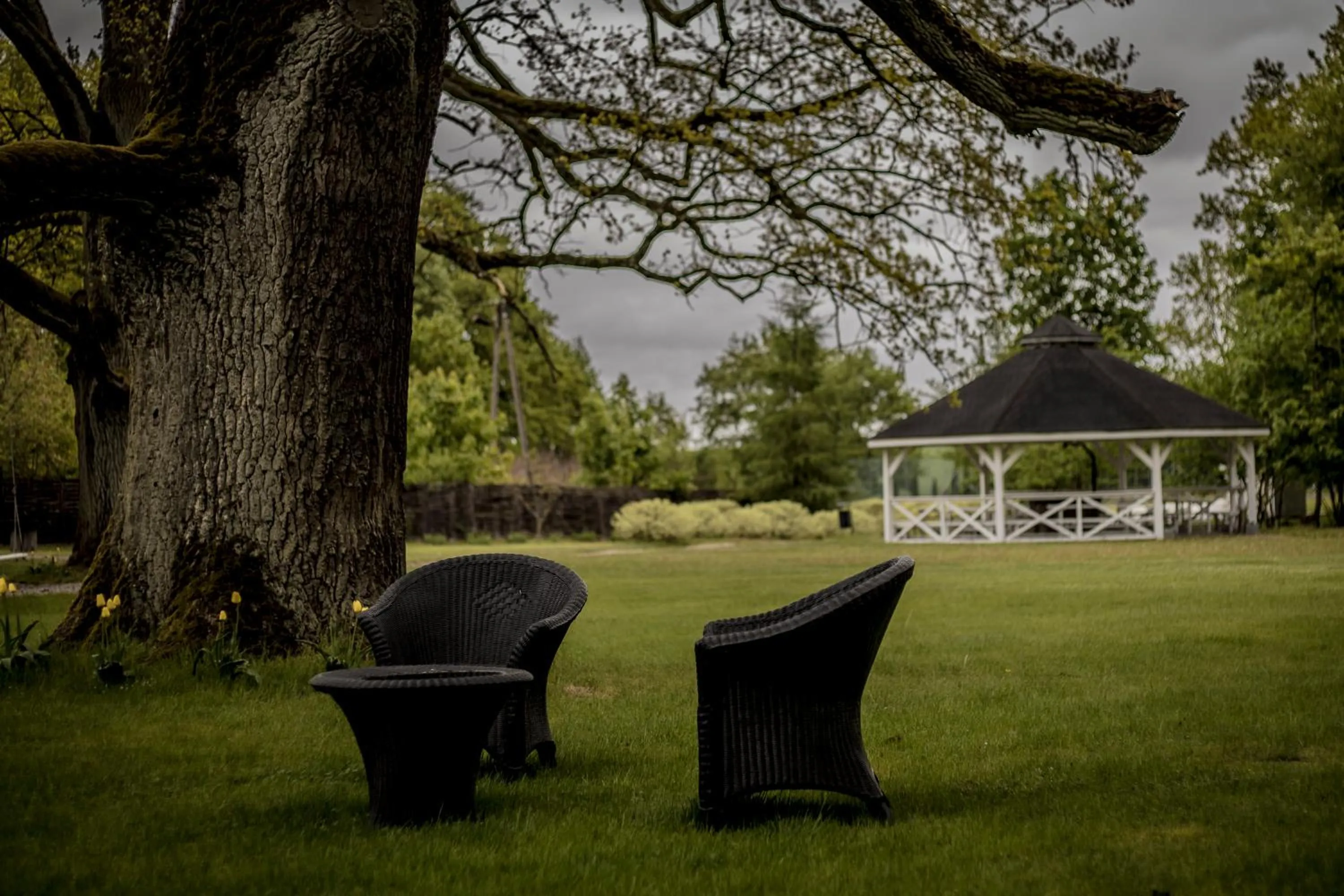 Garden in Dwór Kaliszki